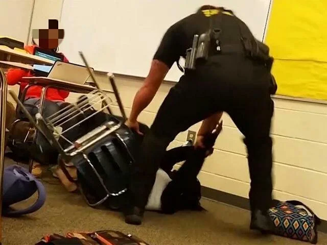 Spring Valley Through the Looking Glass