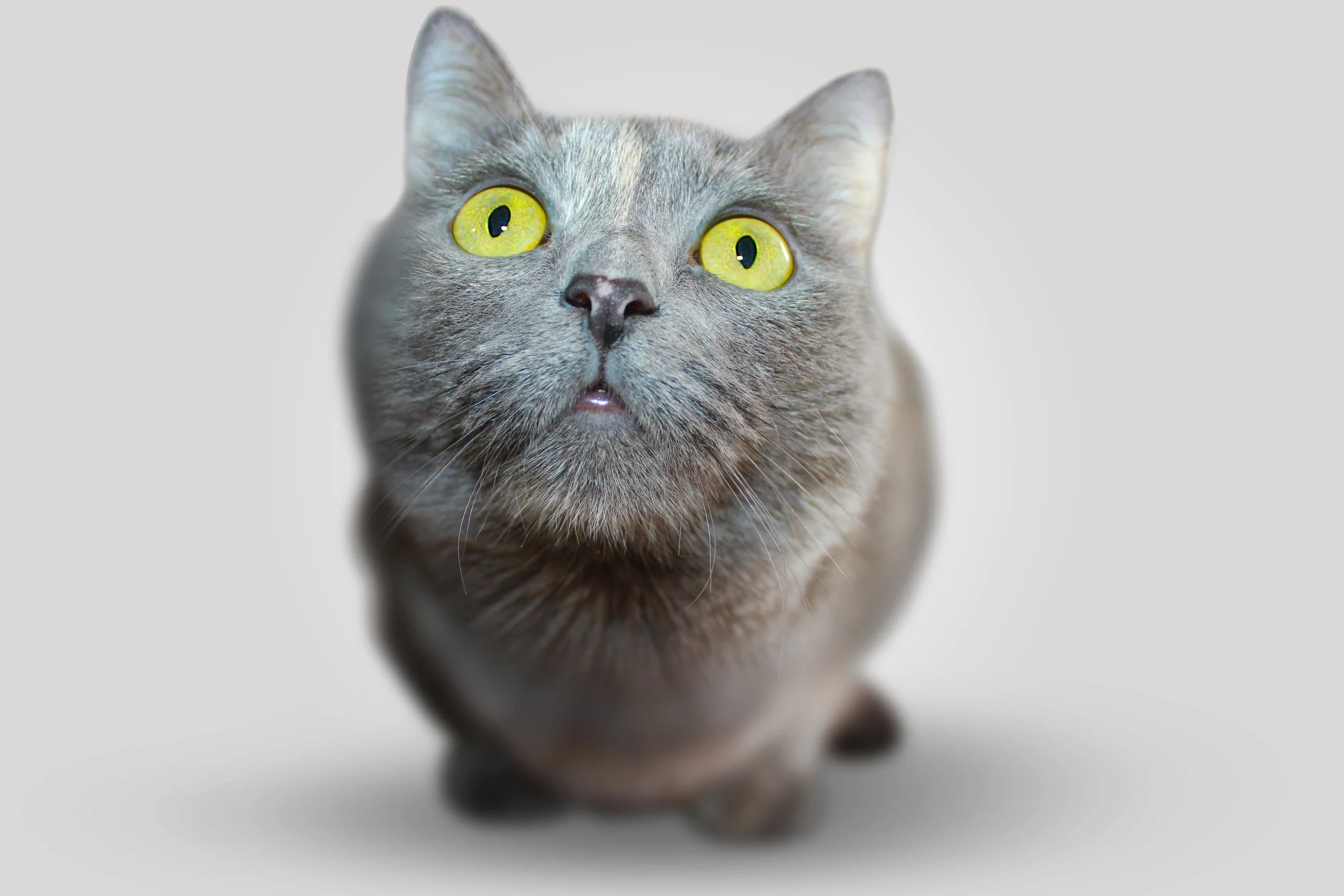 This is a nice photo of you.
