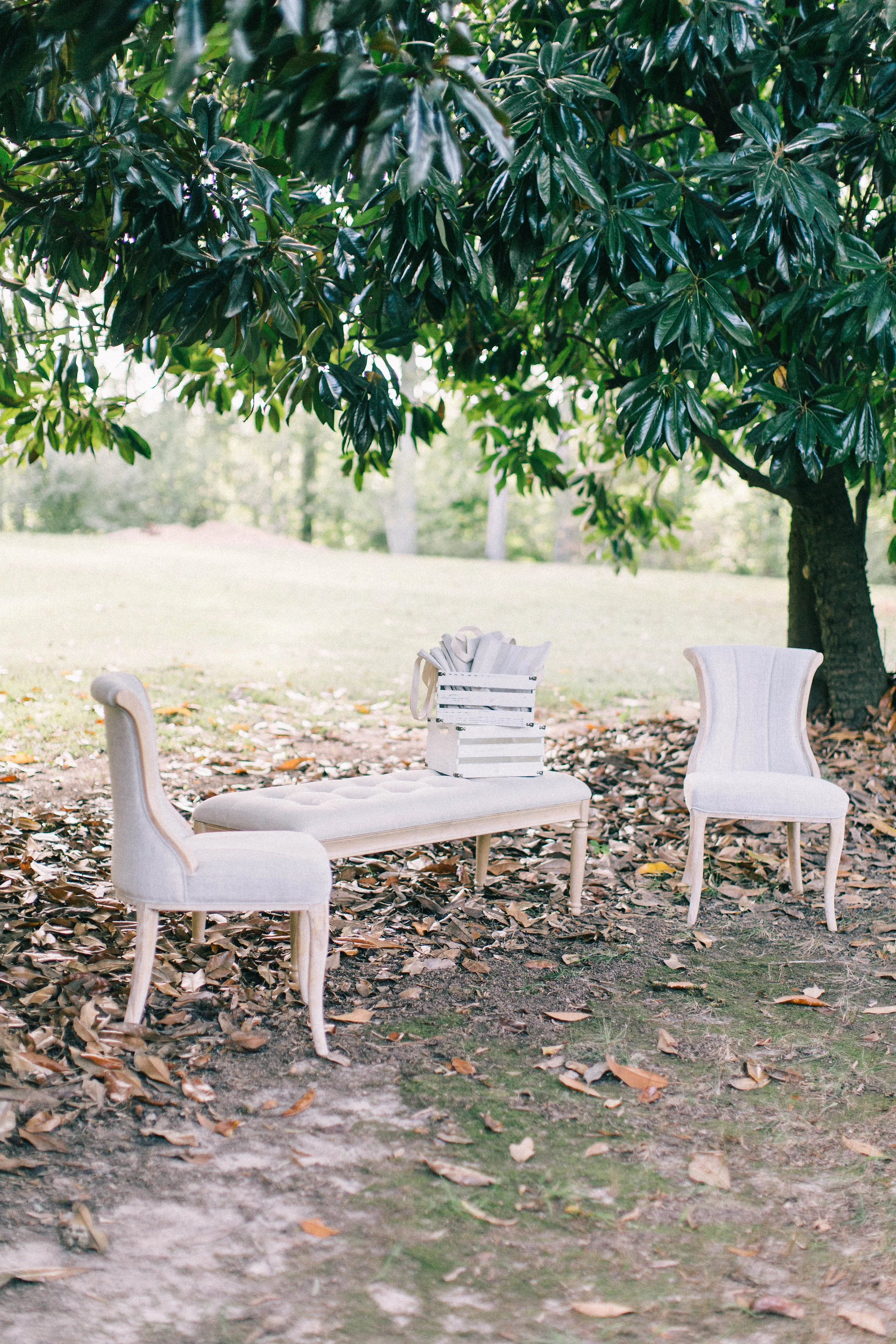 Seating area under magnolia trees.