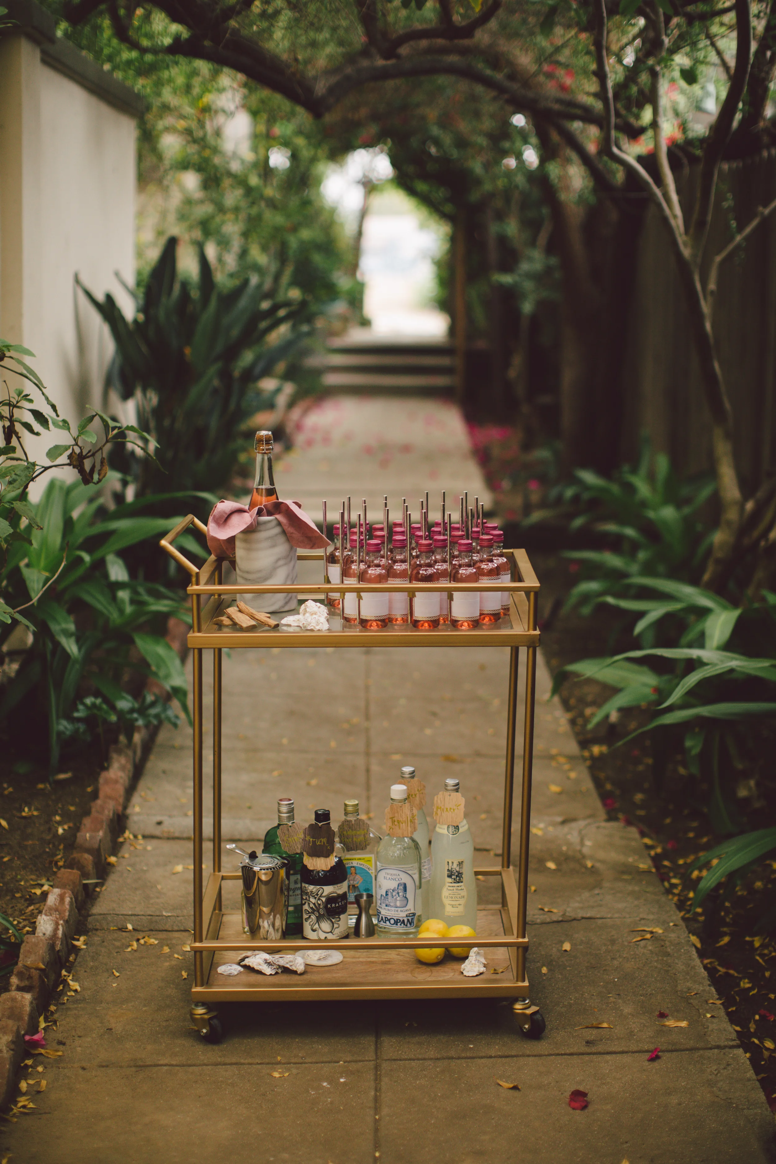 TheDarlingWest(45of126).jpg