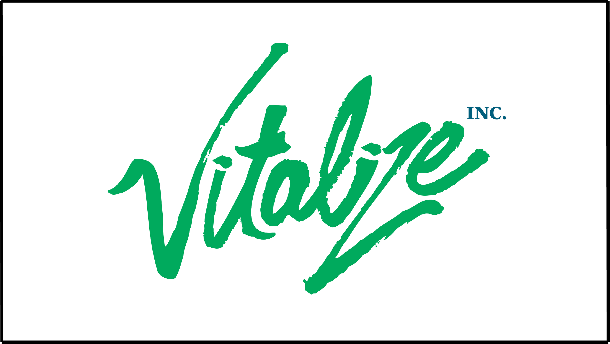 Vitalize.png