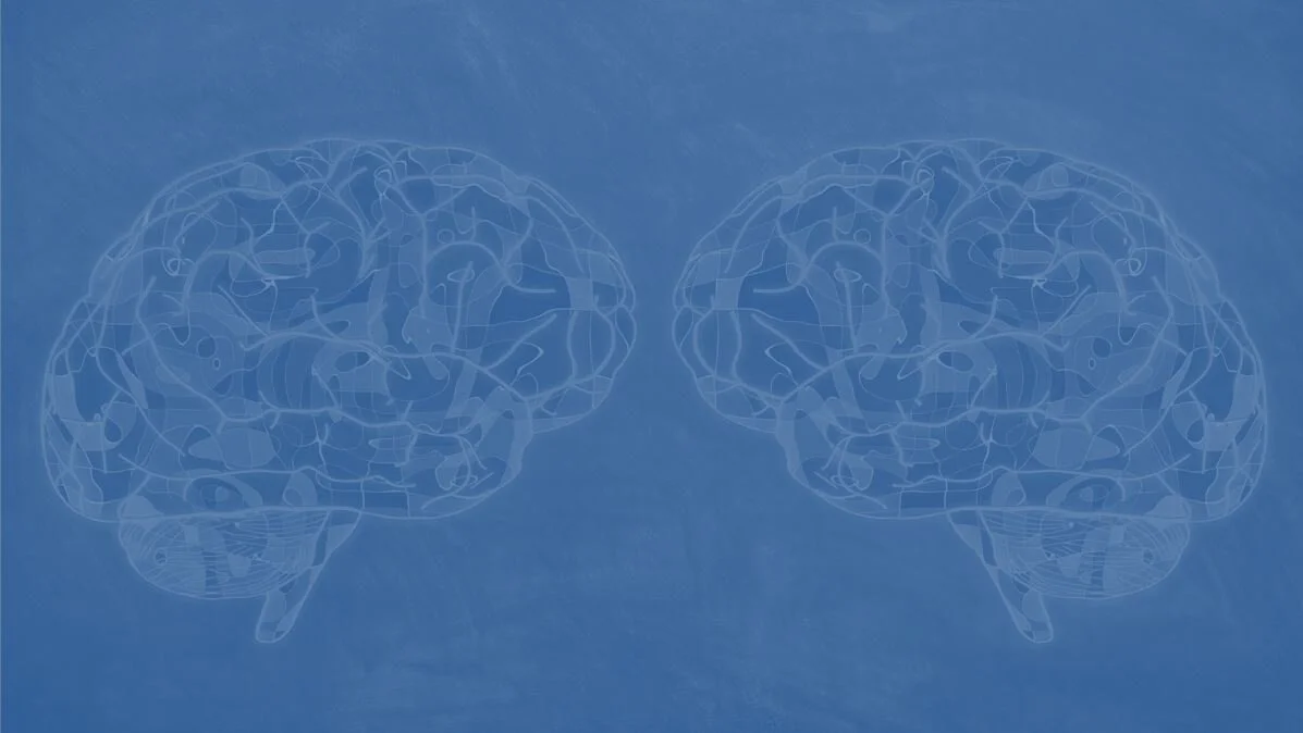 Two_Brain_PPT_Background_Neuroscience_Secrets.JPG