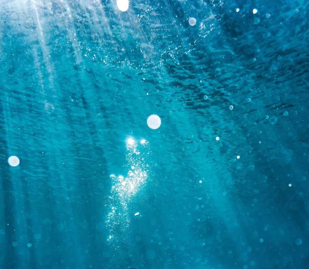 pexels_scuba_dive_underwater_snorkel_pia-3046582_small.JPG