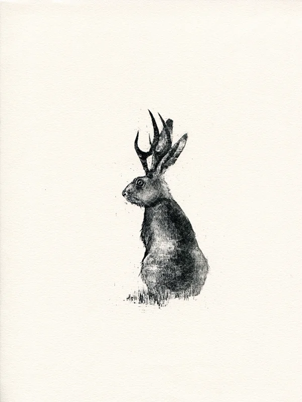 jackalope2.jpg