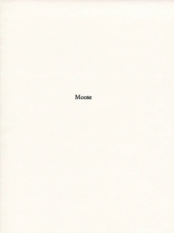 moose1.jpg