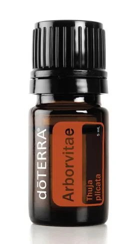 arborvitae342x524.jpg