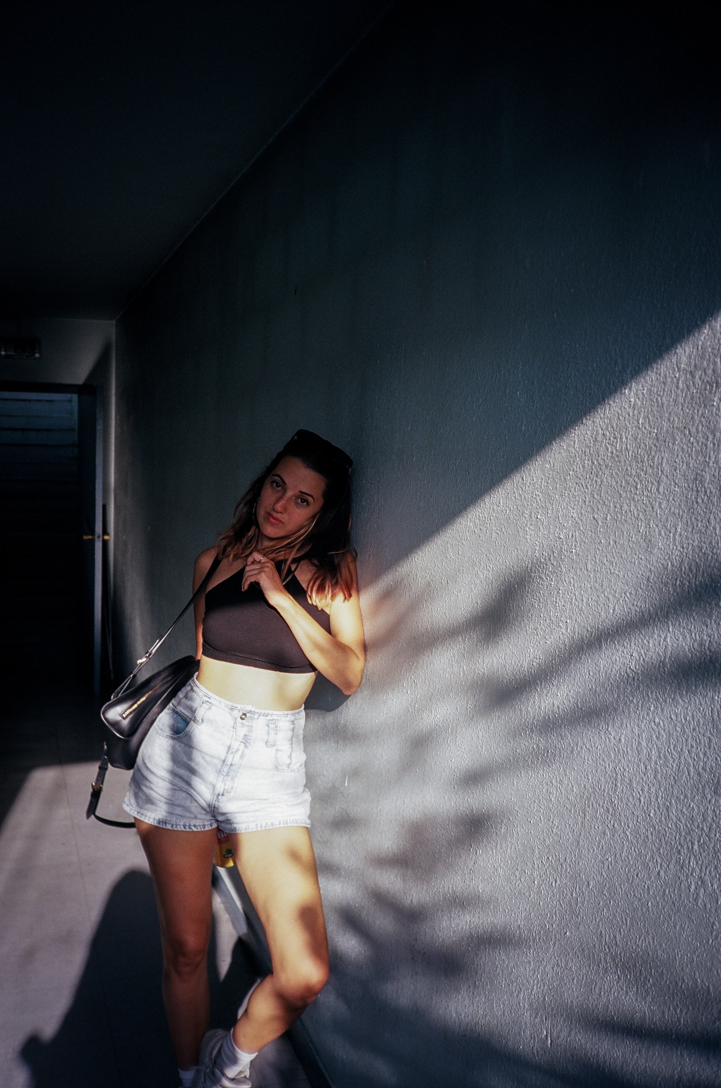 11970020.jpg