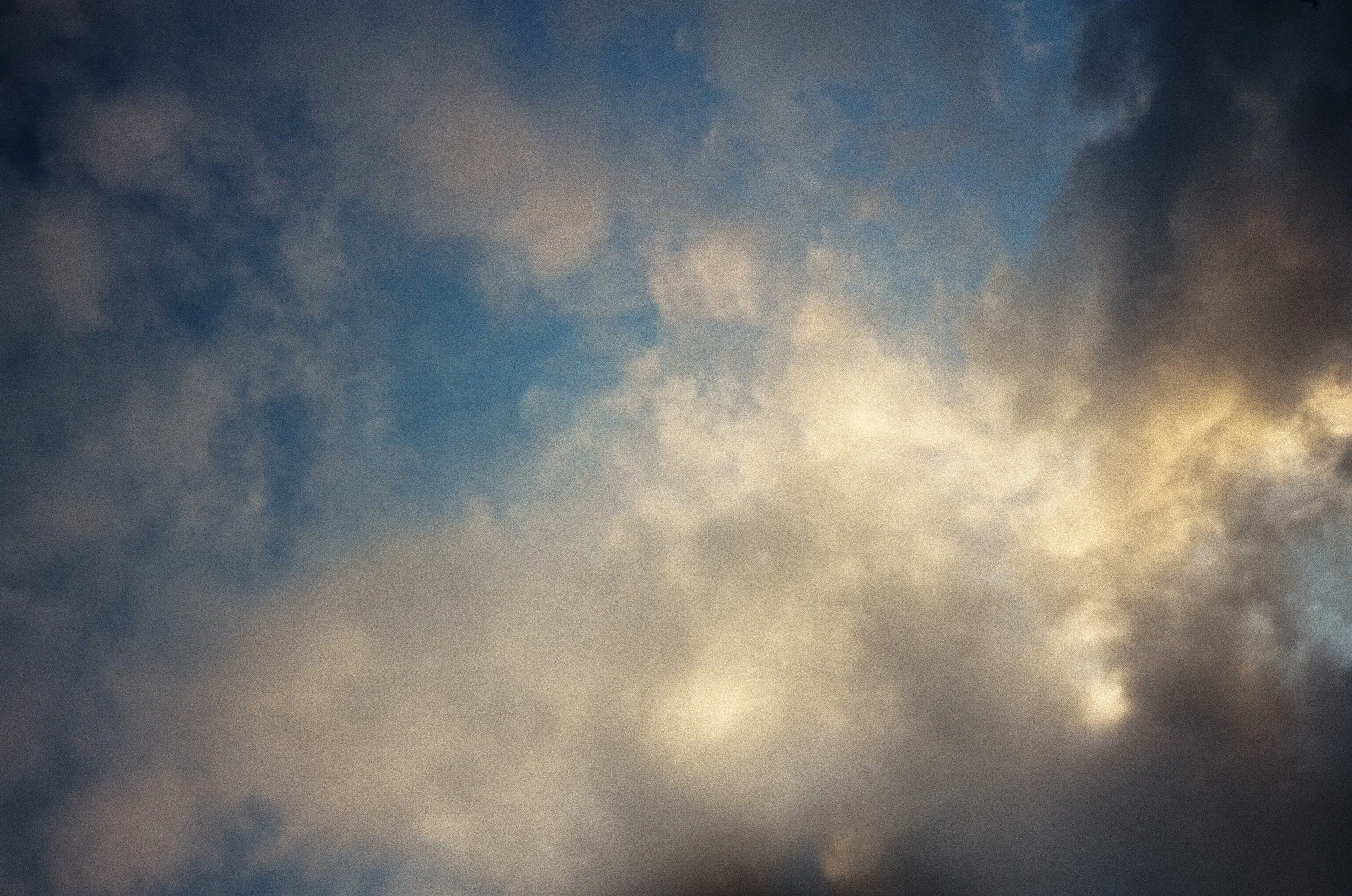 31420024.jpg