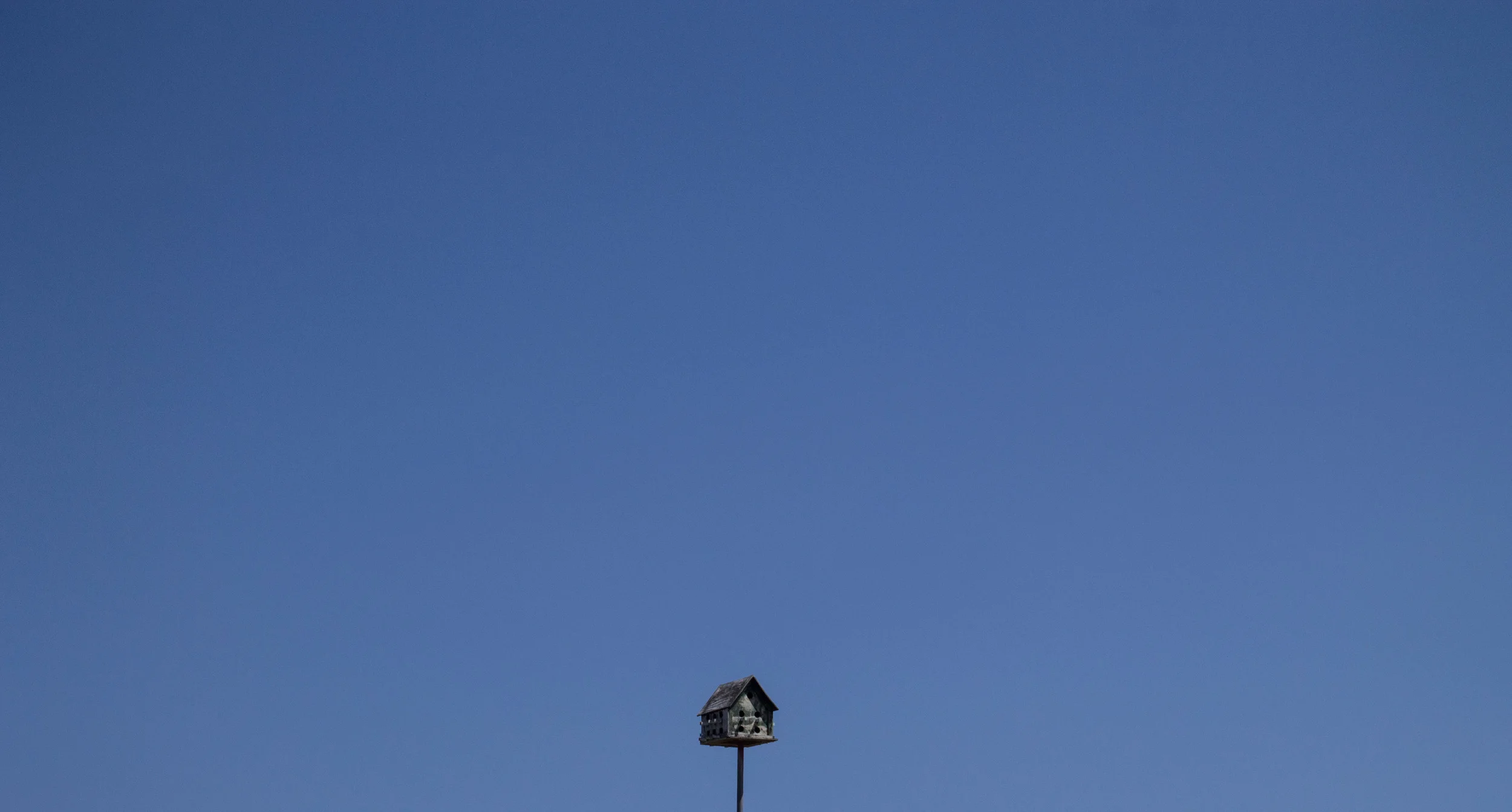 EMP_160416_0456.jpg