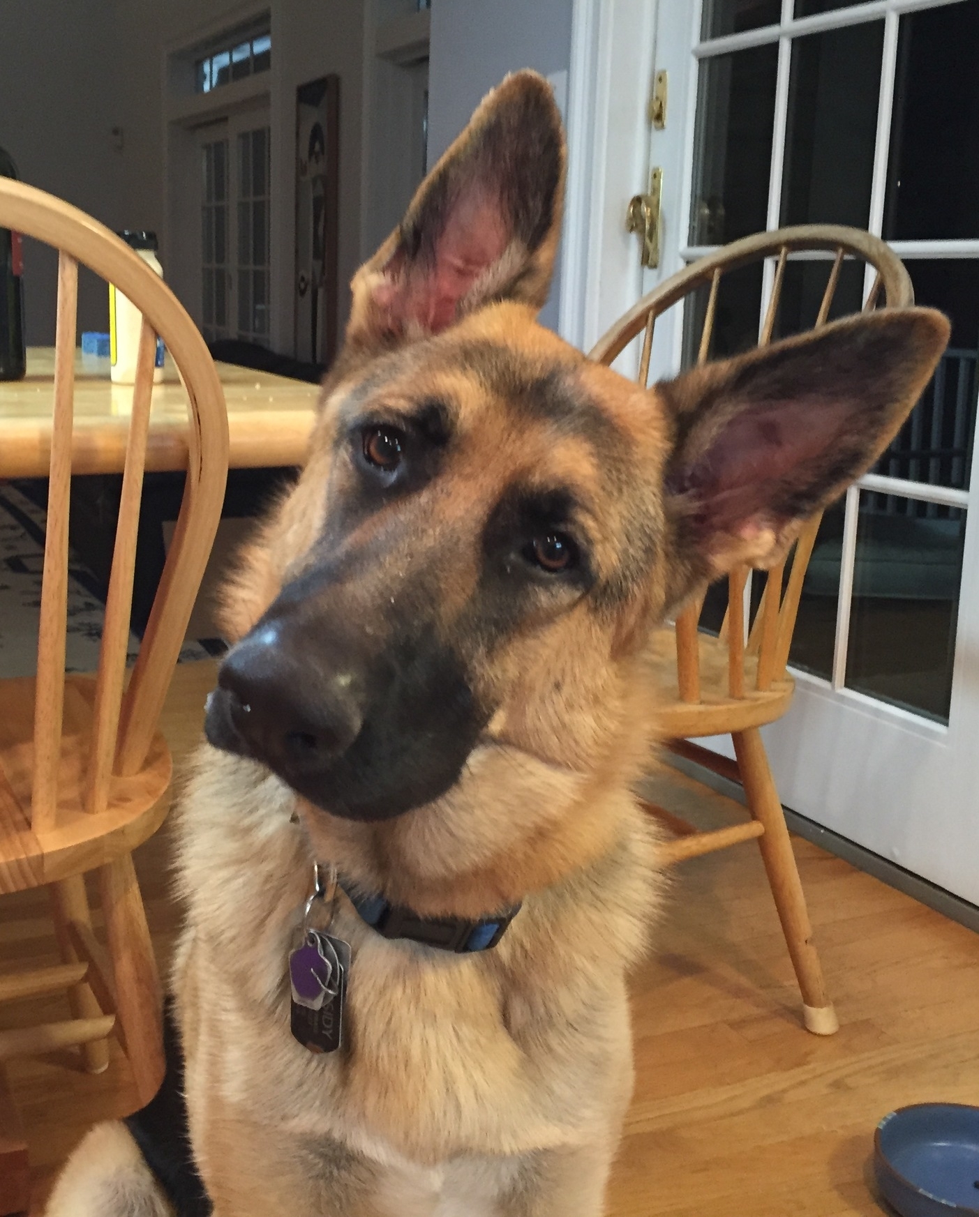Cassidy has grown leaps and bounds! She also will be coming back!