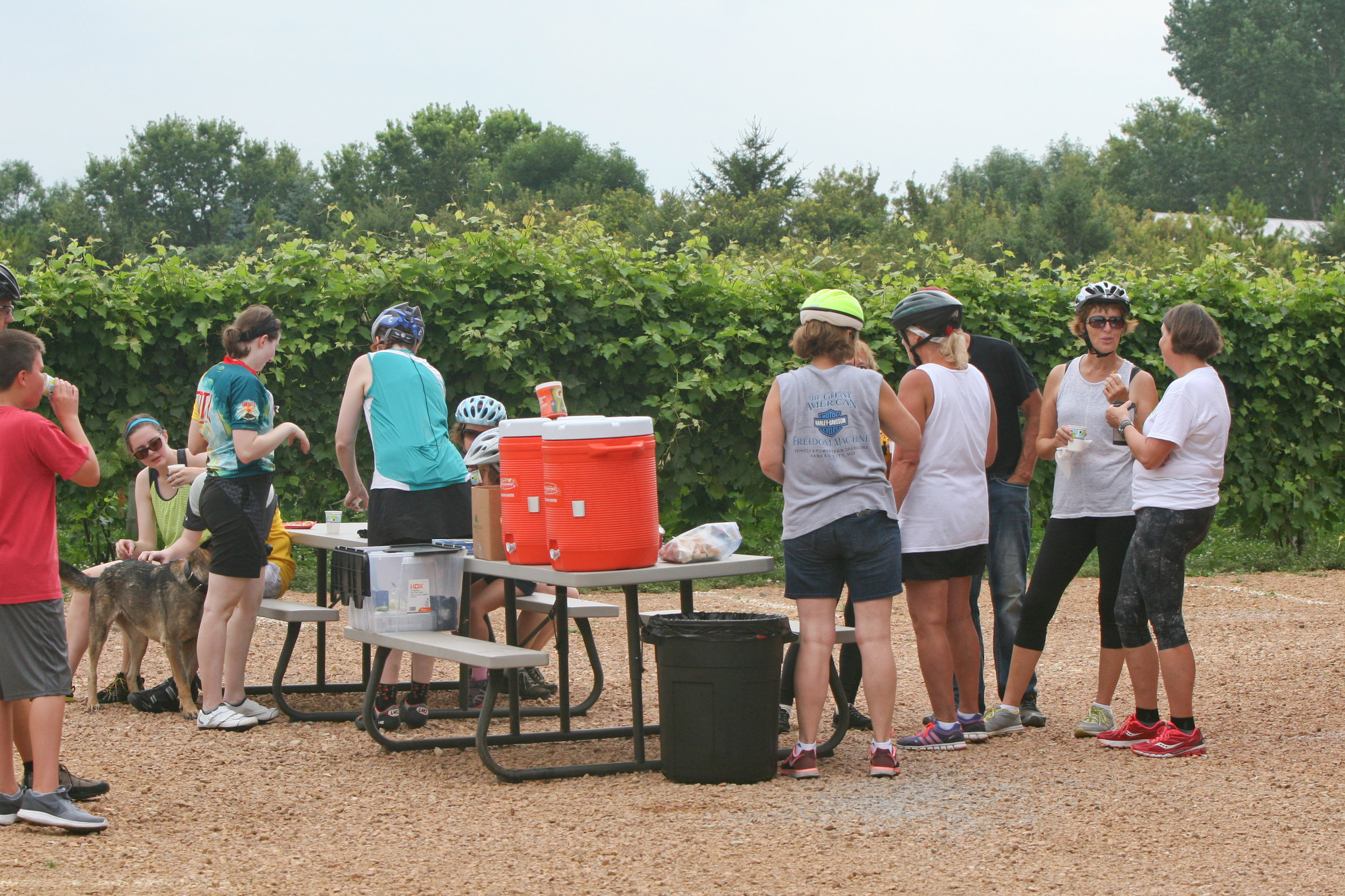 TourdeBun - Winery 2 - Rest Stop.jpg