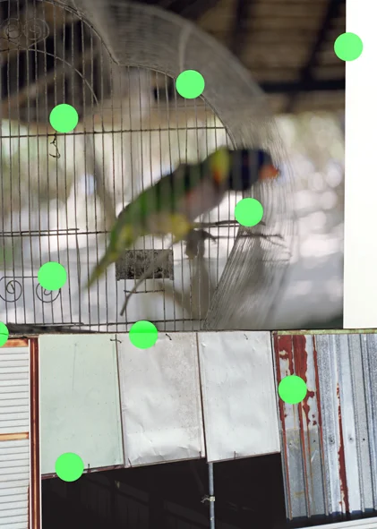 bird dots ver two final SHARPEN.jpg