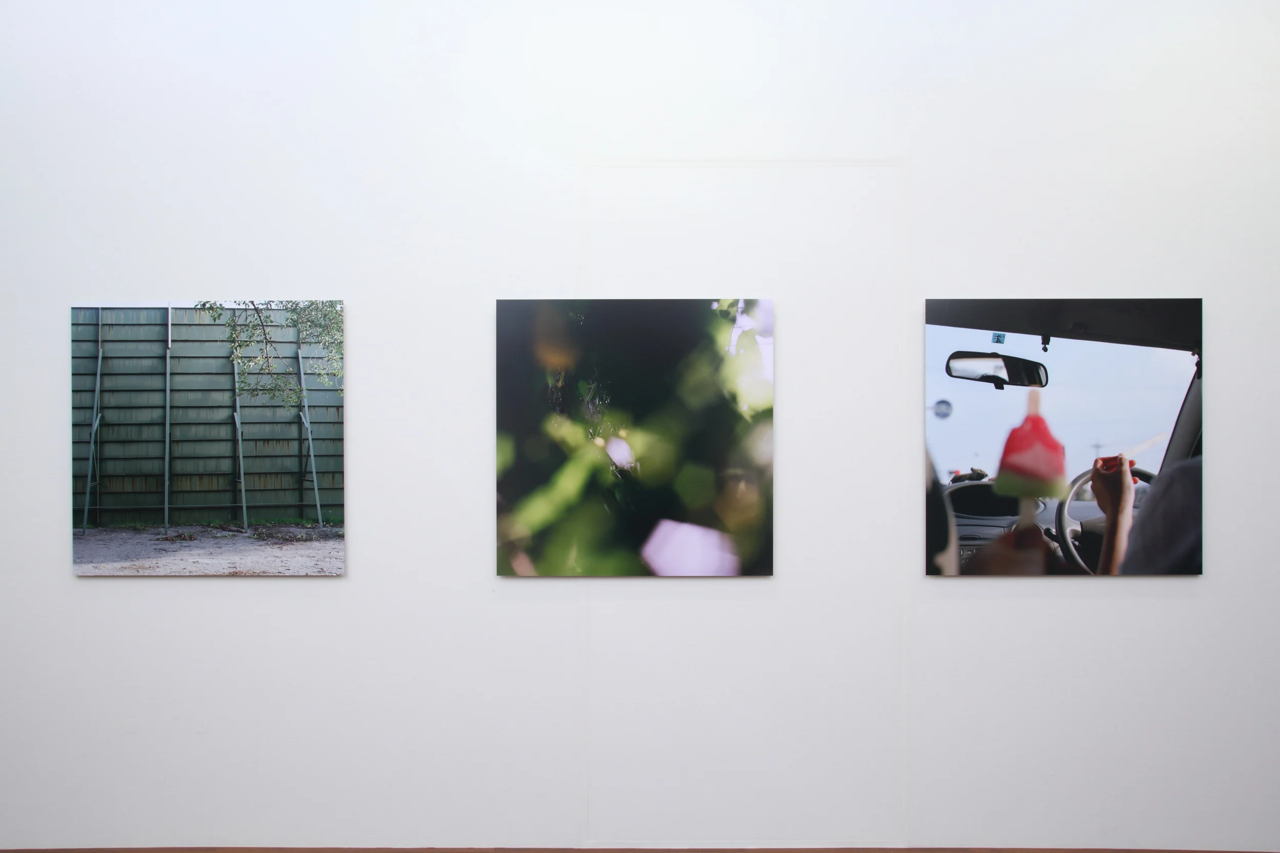 Upon This Troubled Sea I Rest My Head, chromogenic prints 