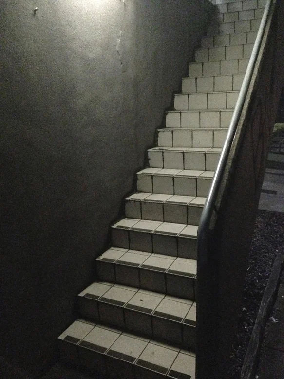 36.jpg