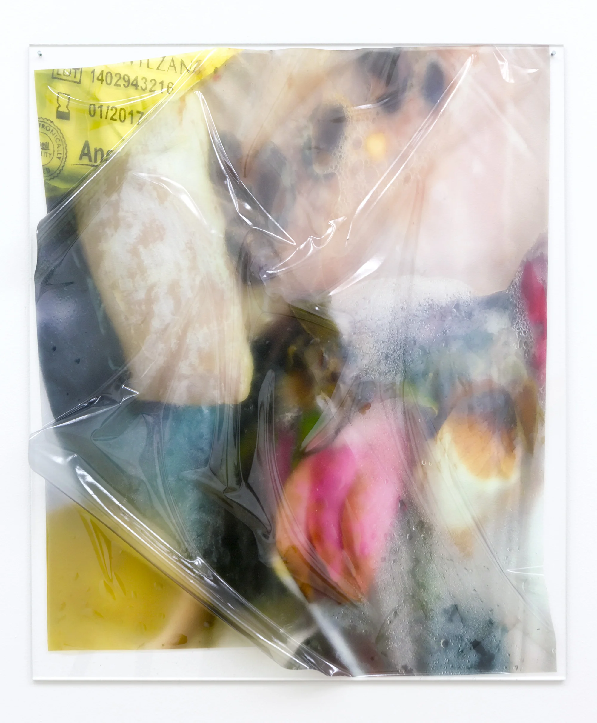 18. Marian Tubbs, untitled, 50 x 60cm, Digital print onto vinyl, acrylic, 2016