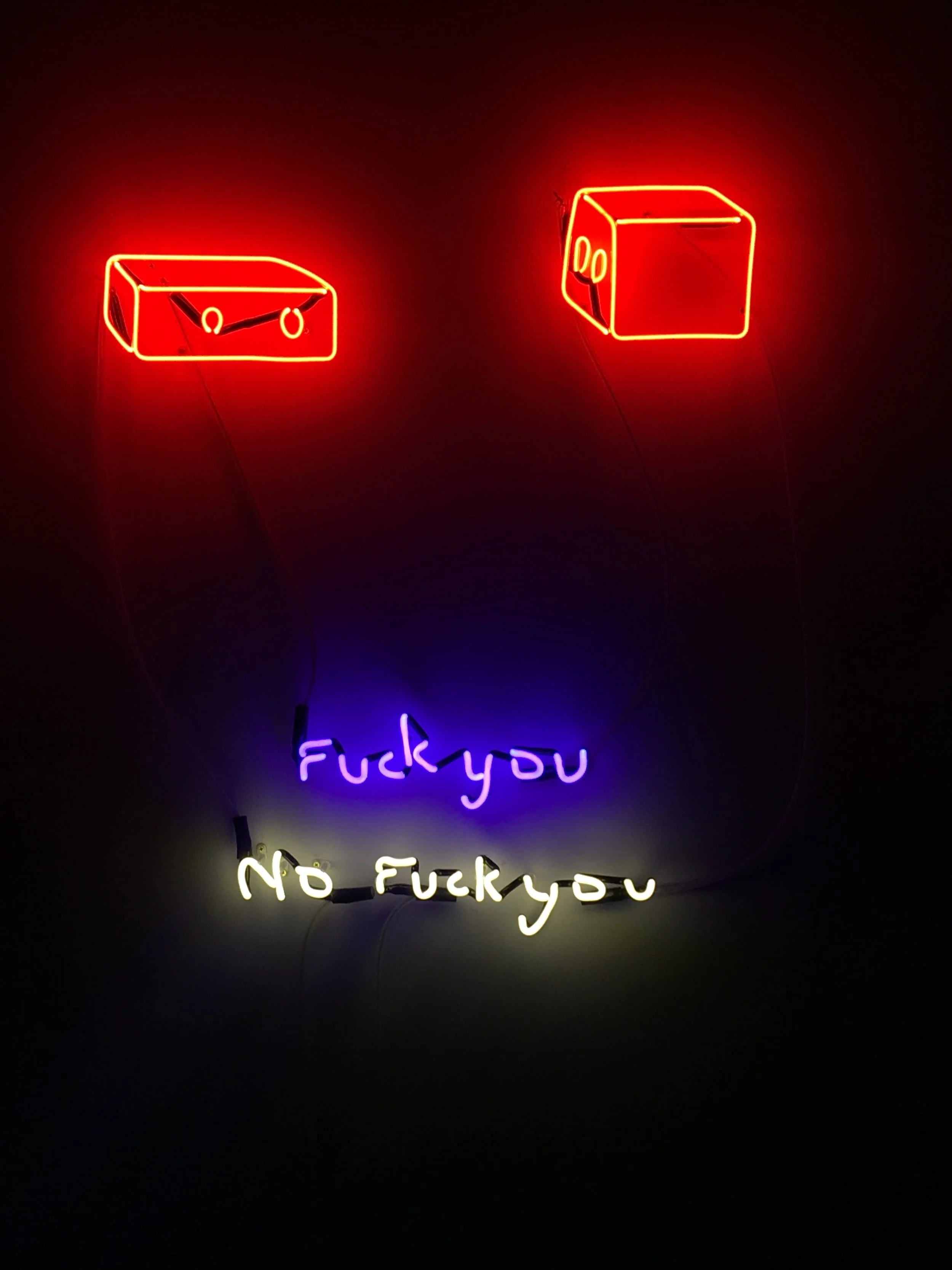   Fuck You, No Fuck You,  neon, 2018 