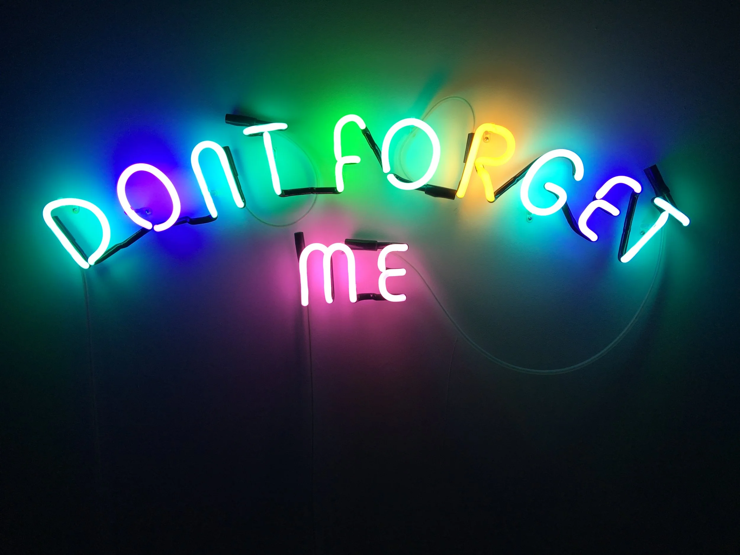   Don’t forget me , neon, 70 x 120cm, 2008 