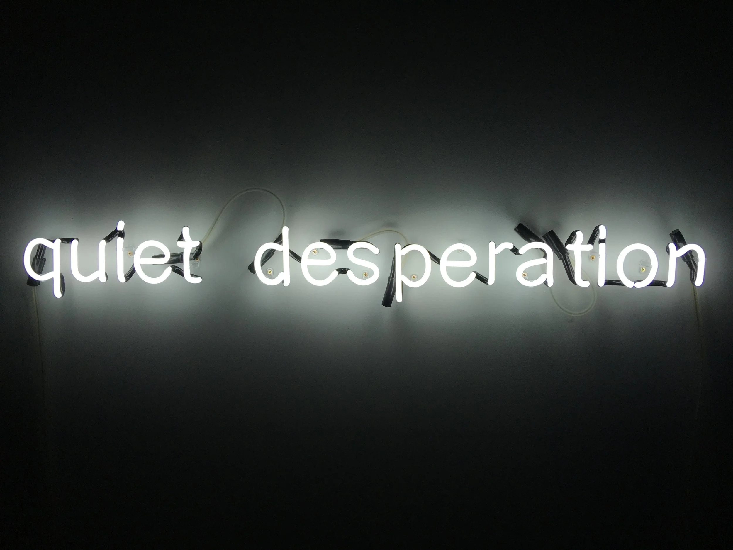   quiet desperation,  neon, 13 x 120cm, 2018 