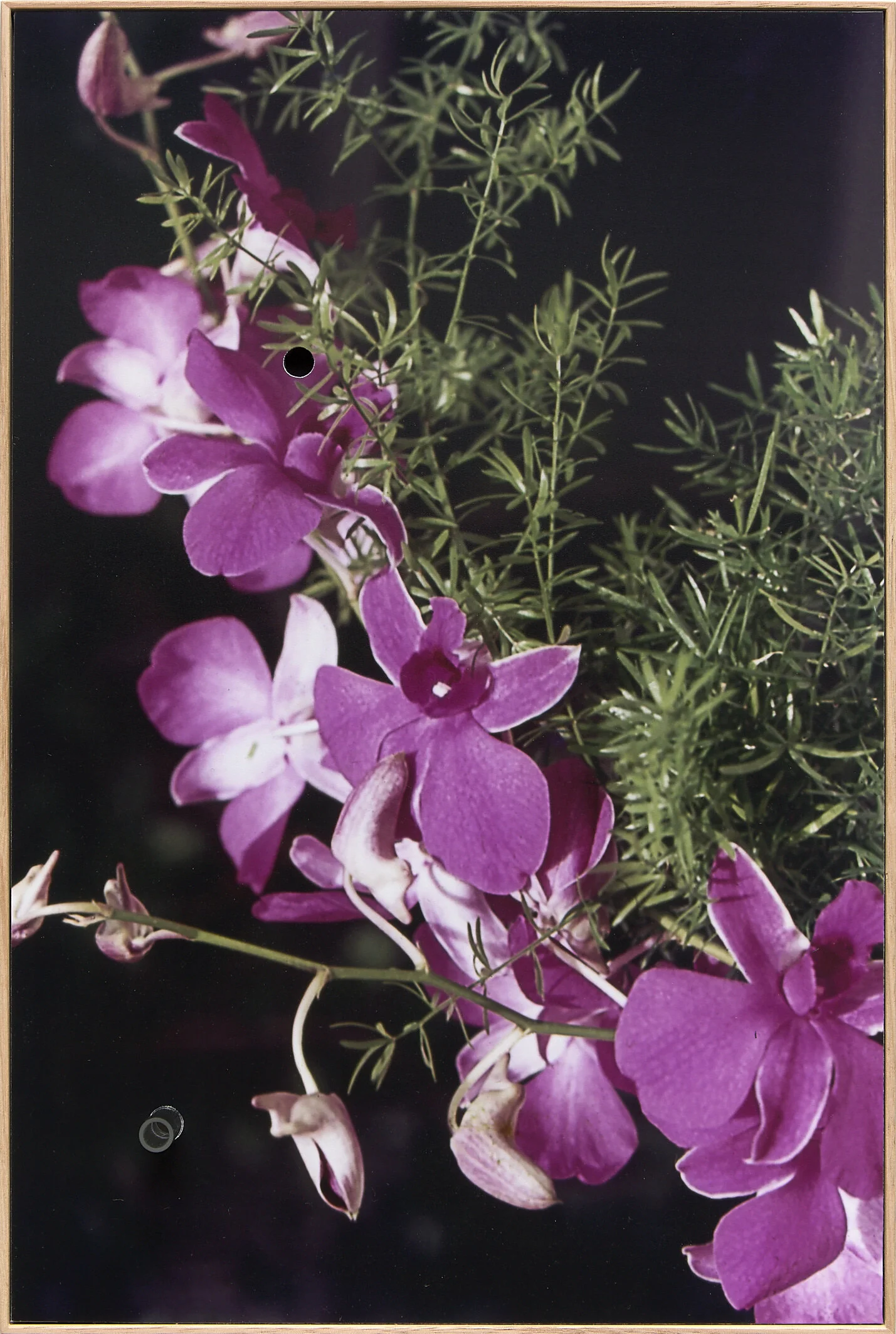   Dribble , Chromogenic Print, Glass 