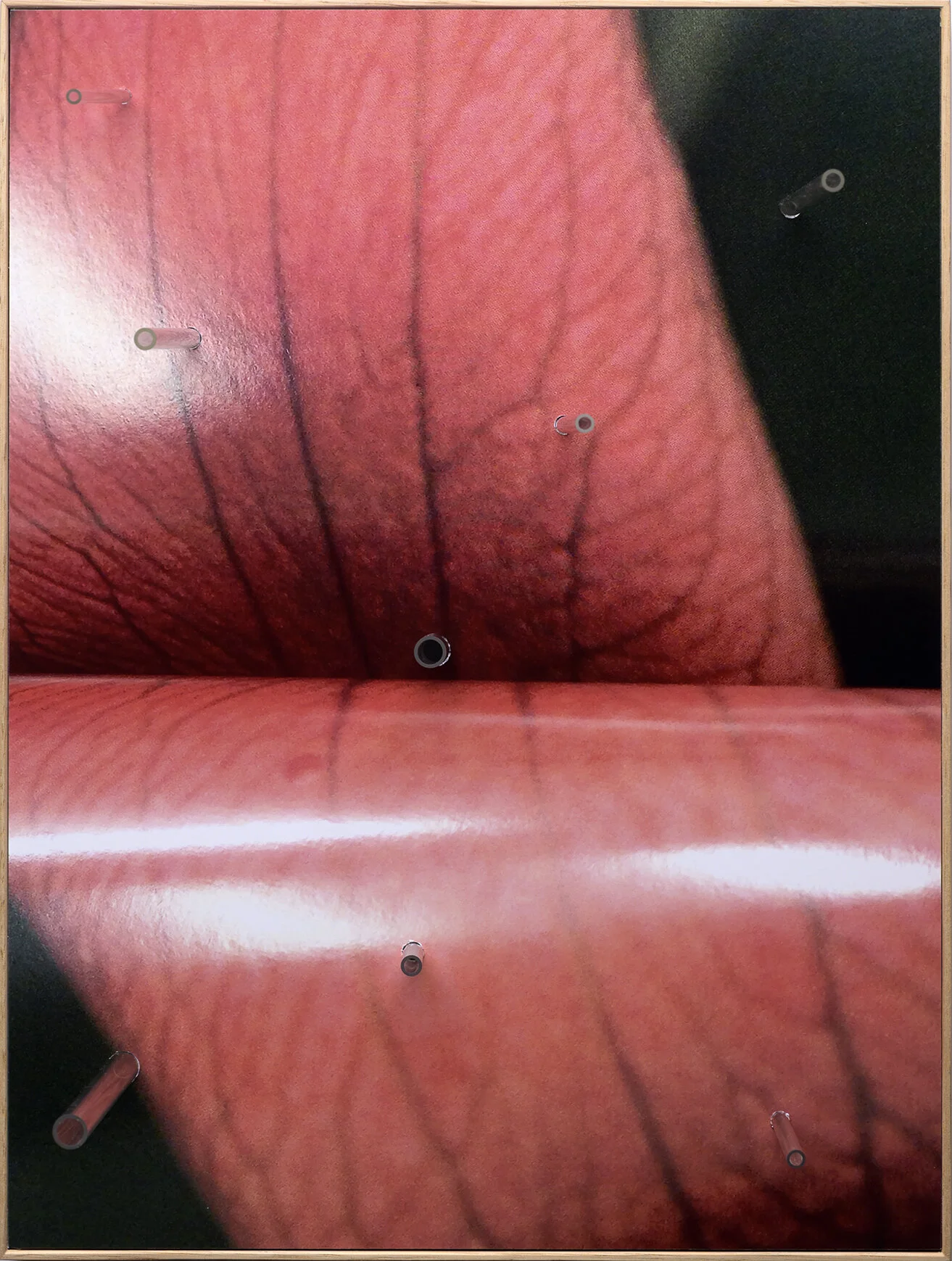   Lip , Chromogenic Print, Glass 