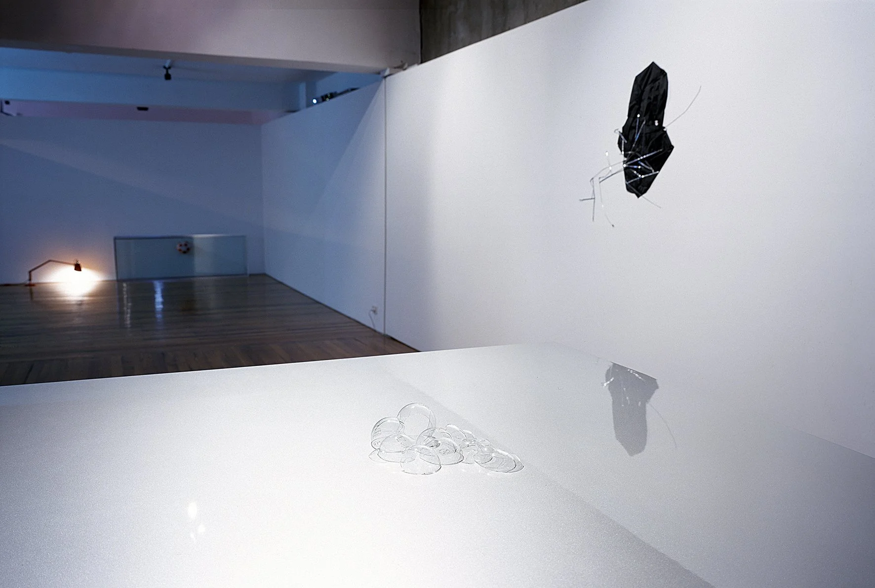  F- B Simon Horsburgh, Lou Hubbard 