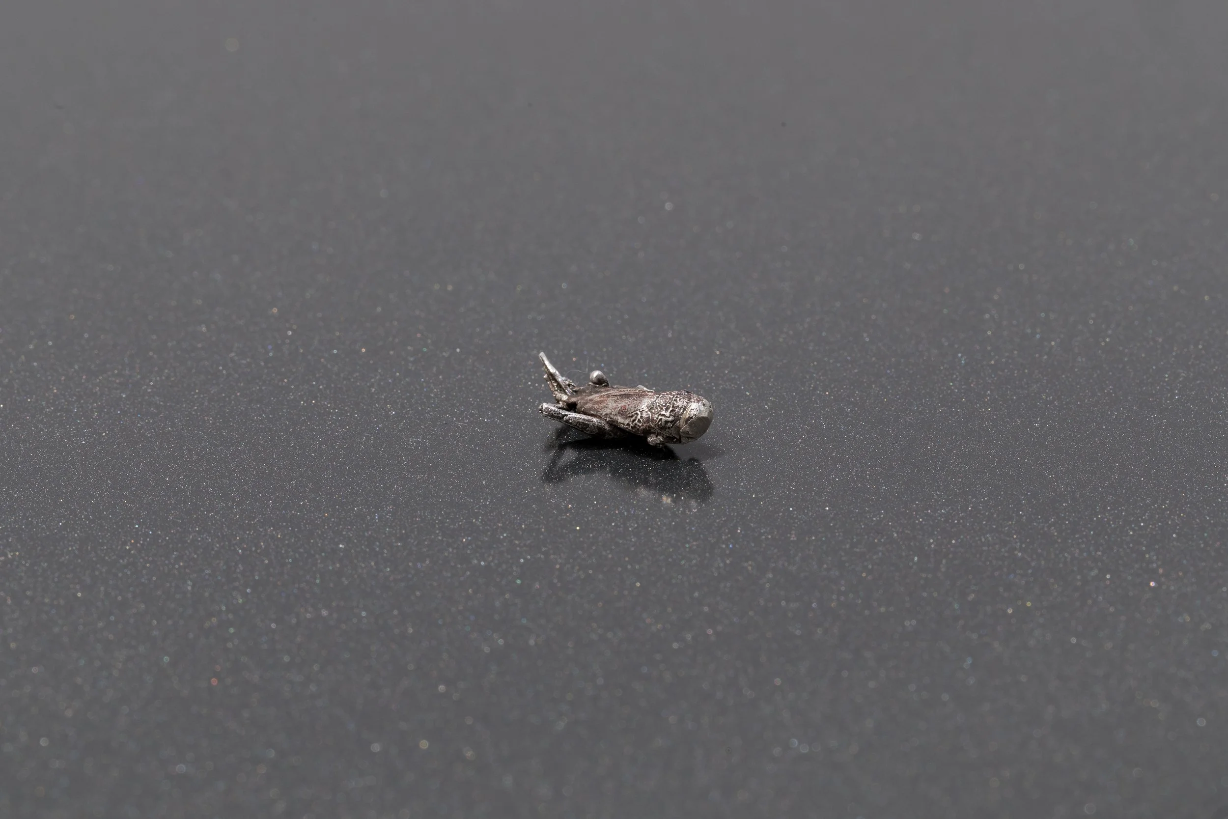   The beginning or the end (detail),  silver, chipboard, vitrine 