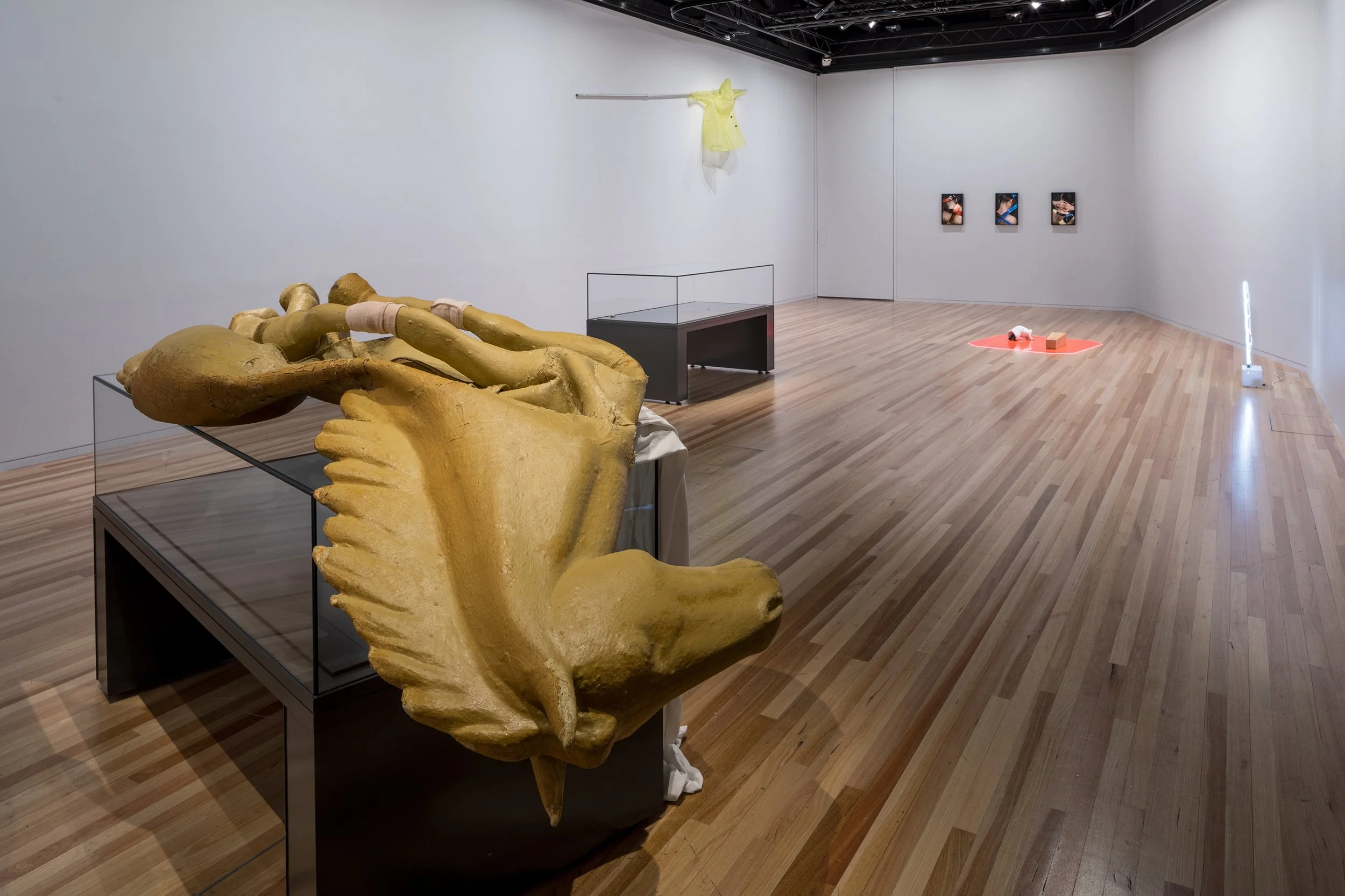  L-R Lou Hubbard, Kiron Robinson, Lou Hubbard, Lani Seligman, Sanja Pahoki 