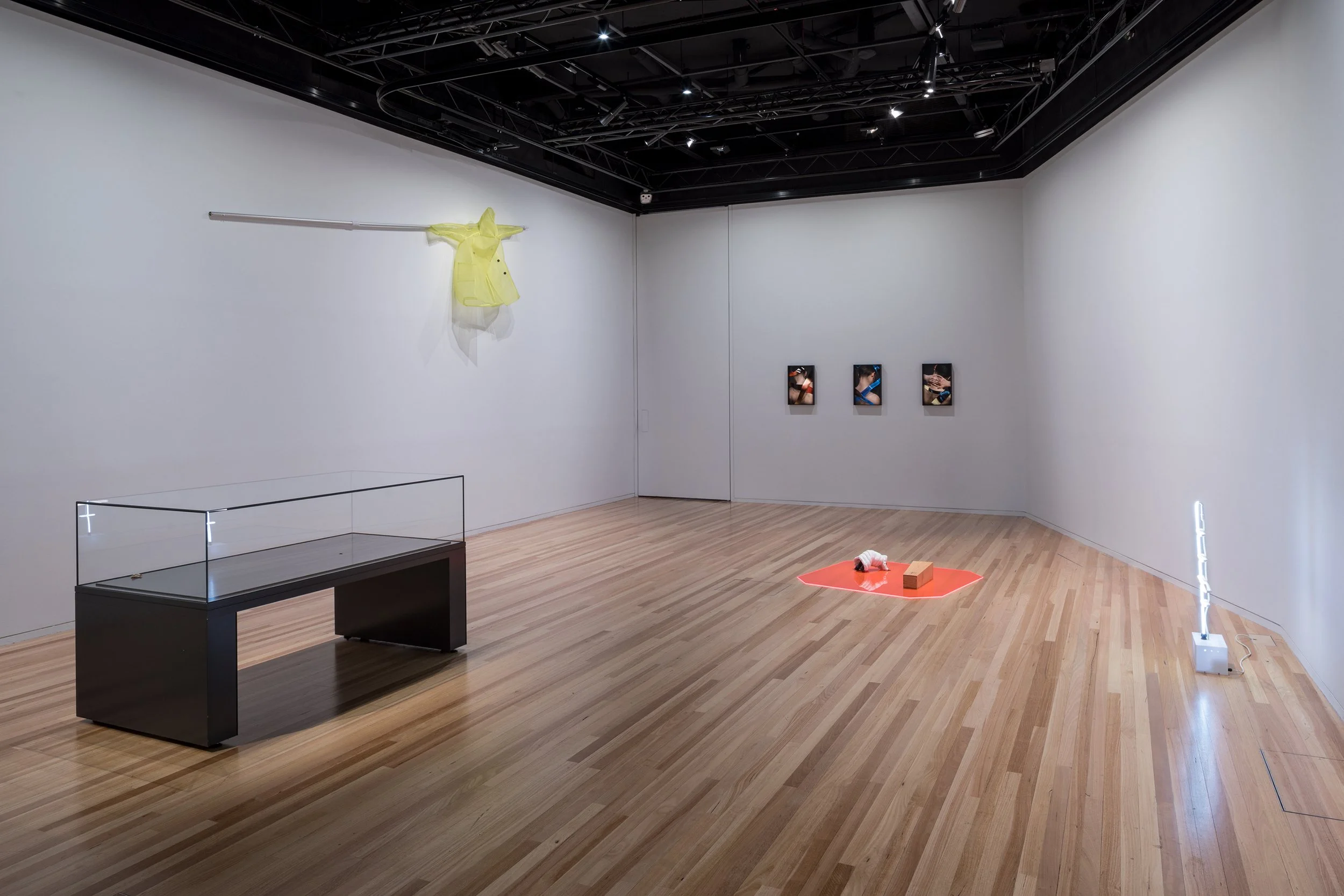  L-R Kiron Robinson, Lou Hubbard, Lani Seligman, Sanja Pahoki 