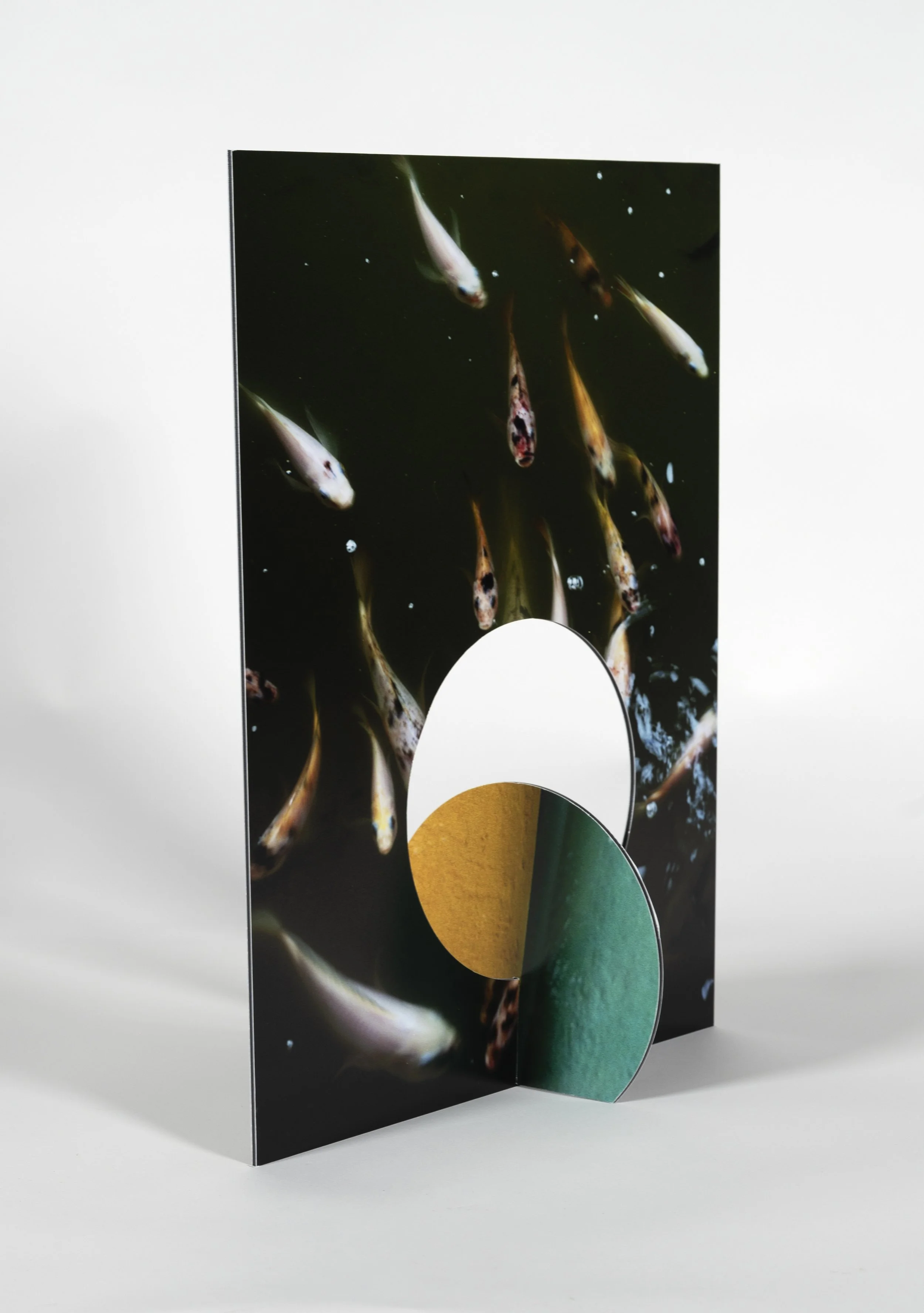   27” x 59” Extra Extra Large , Pigment Ink Print on Archival Paper, Dibond 