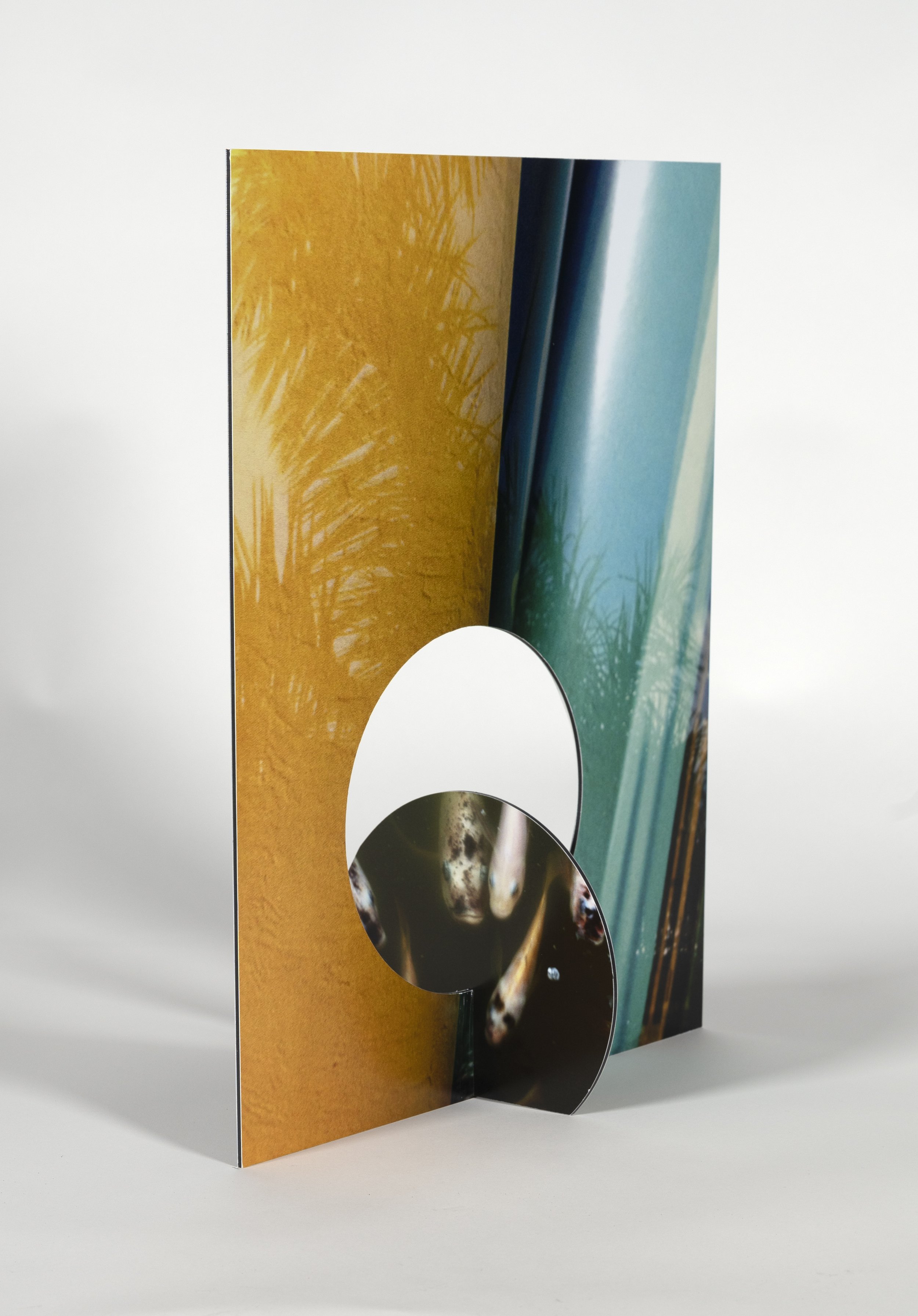   27” x 59” Extra Extra Large , Pigment Ink Print on Archival Paper, Dibond 