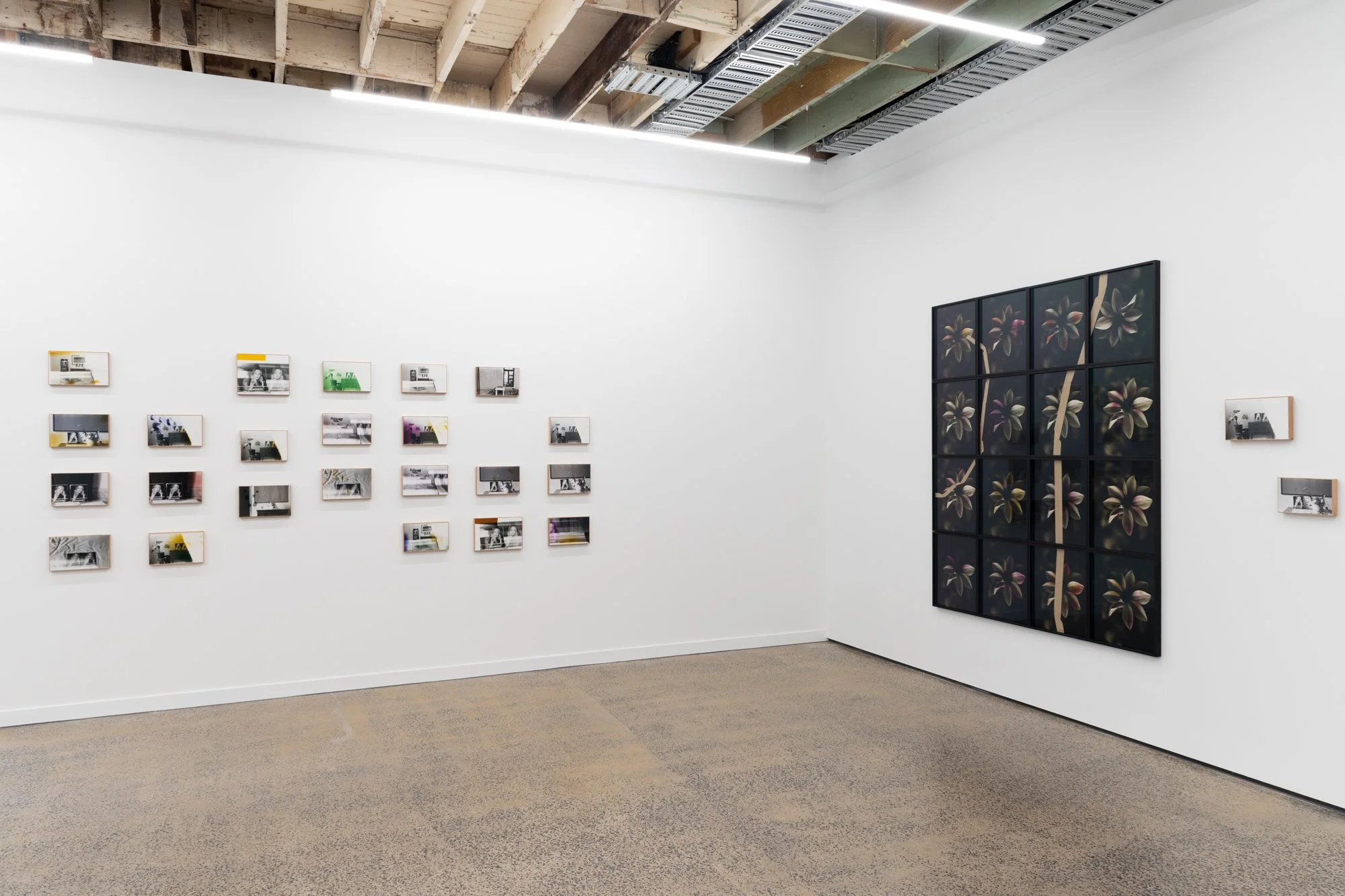   Mary Mary  installation view  Image Courtesy Nicholas Mahady  