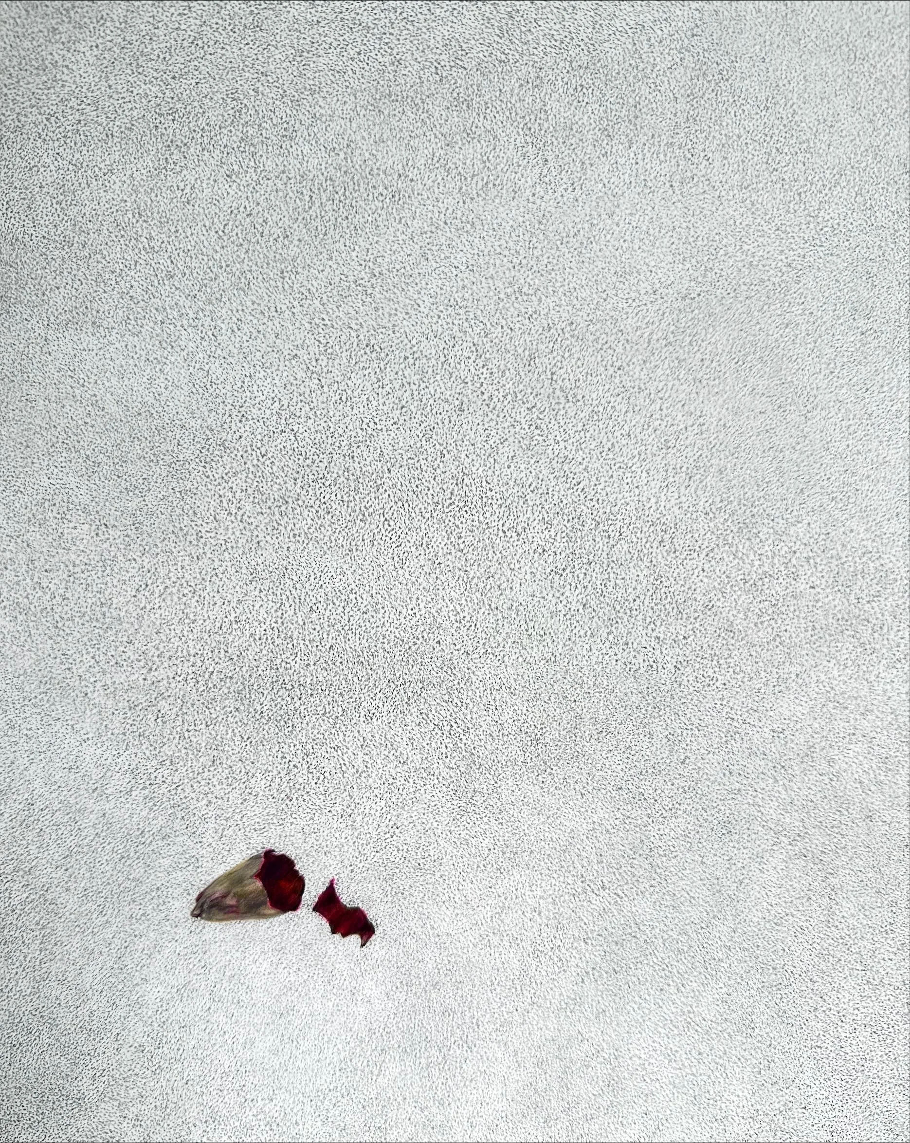 Fictional Reality #9, detail - 1
