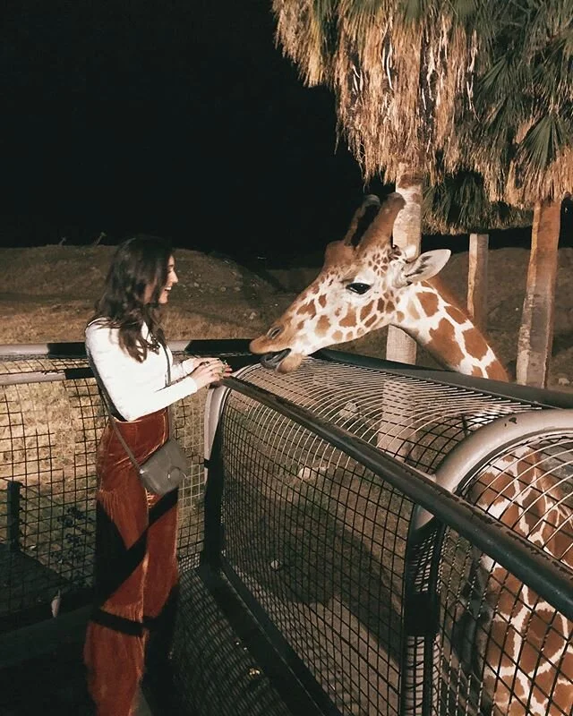 not gonna lie, this was an ideal Monday night 🦒 huge thanks to @ifyoucare_usa for having me & @wethedreamers at this amazing @altsummit event last night! absolutely blown away by these beautiful animals and already can’t wait to come back to @thelivingdesert ! 🌵☀️ #altsummit #altsummit2020