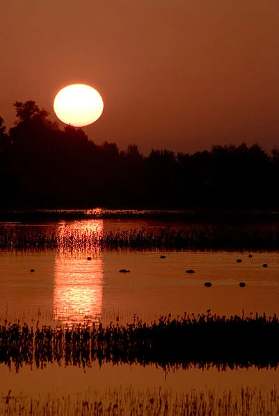 401px-Orange_sunset_at_Sacramento_National_Wildlife_Refugeo.jpg