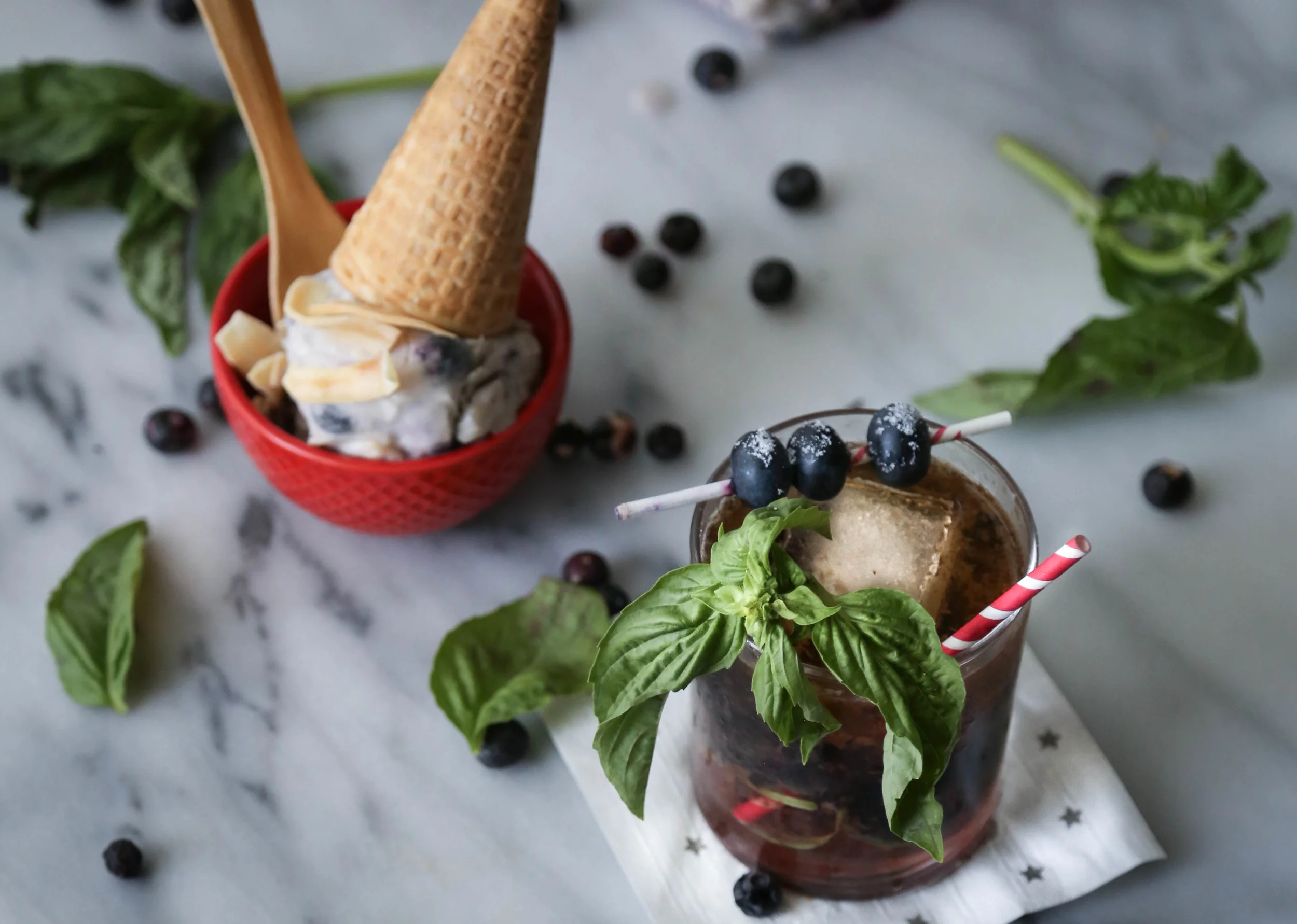 A 4th of July Blueberry Party!