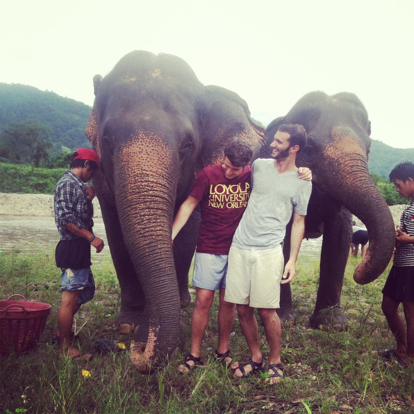 We quickly learned that riding elephants is basically torture and opted out for this cute elephant rescue sanctuary in Chang Mai, instead. 