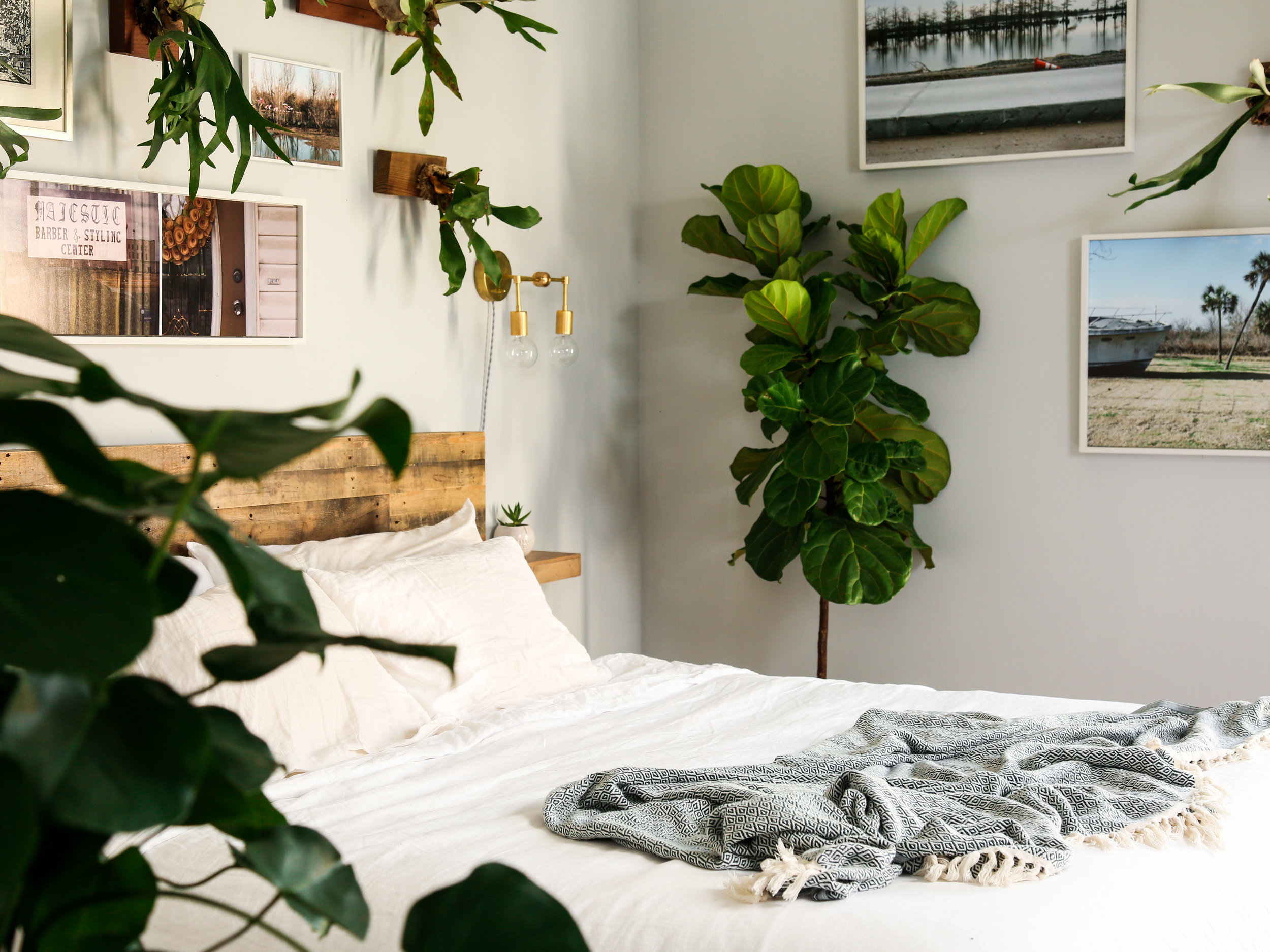 jungle bedroom.jpeg