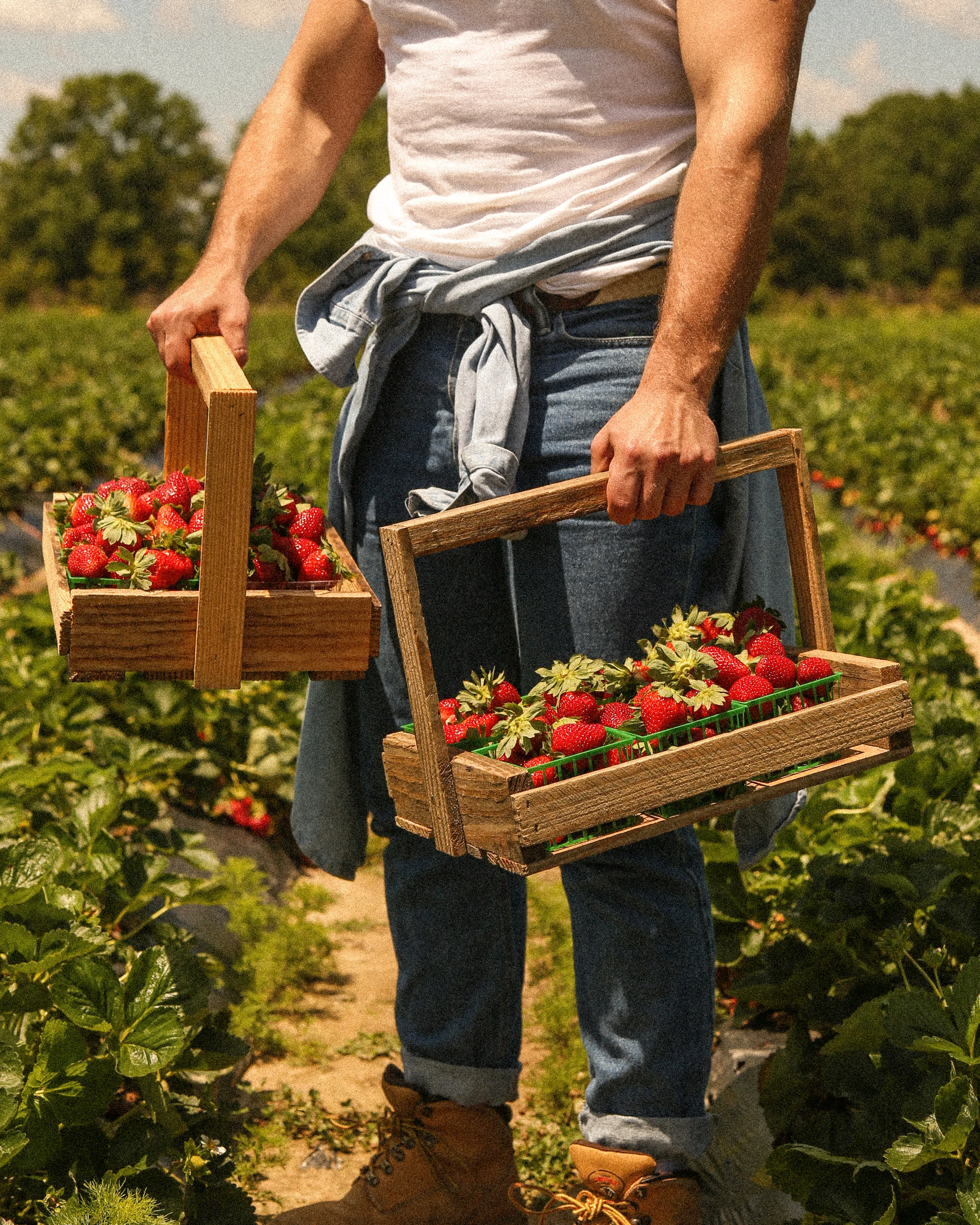 1 (1 of 1).jpg