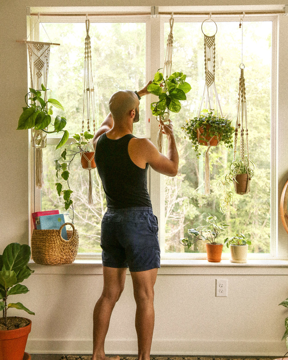 Colgadores de plantas de ventana interior