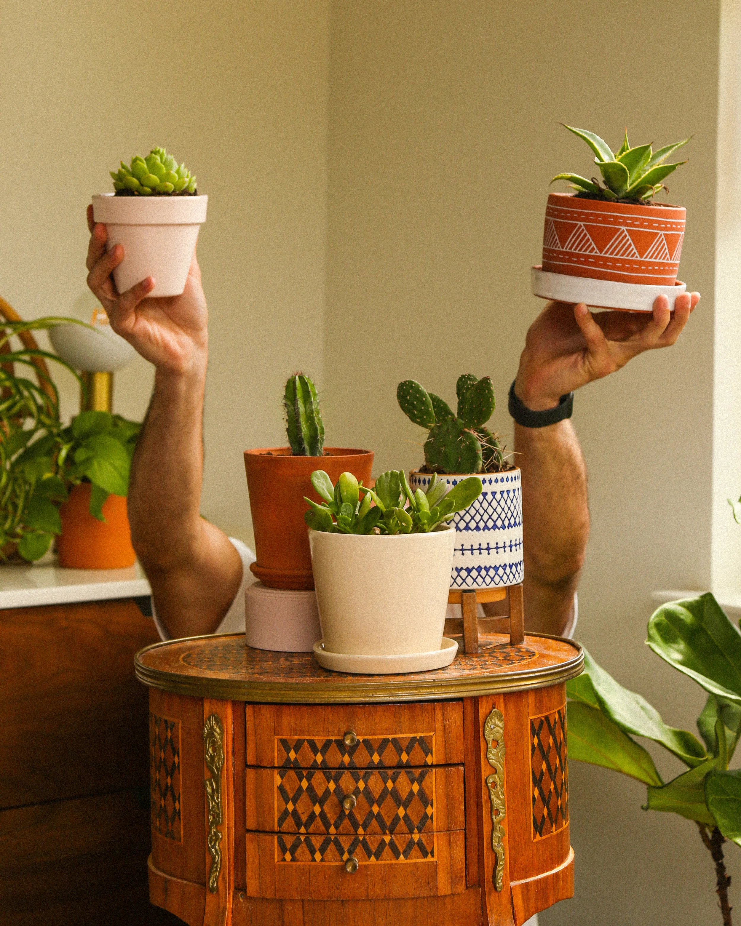 plant risers potted plants 3 Pot Plant Stand