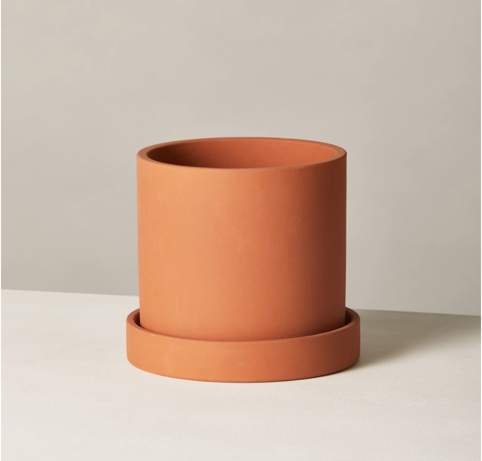 Terracotta Hyde Pot ($40+)