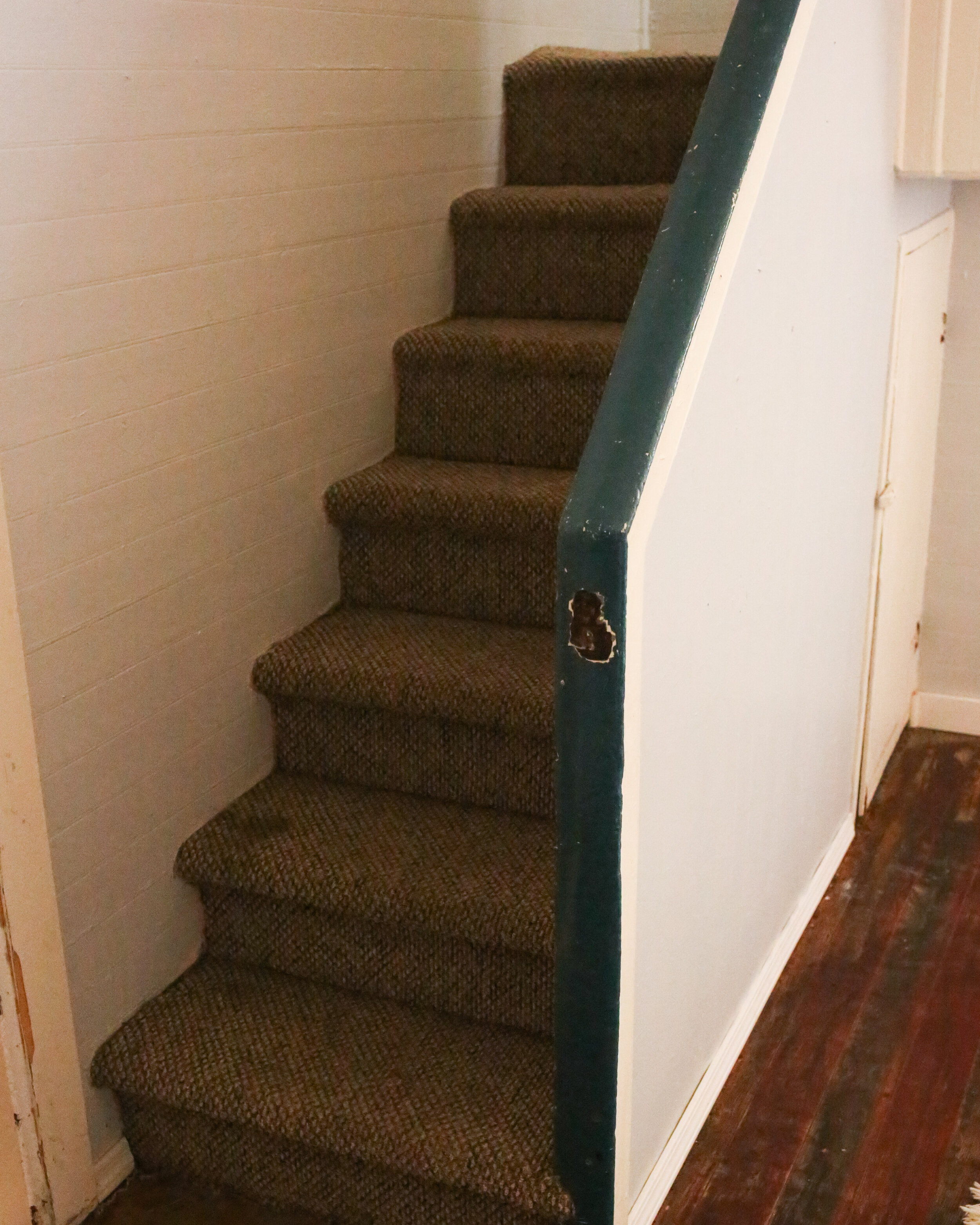 Guest Apartment Stairs, Carpeted &amp; Smelly