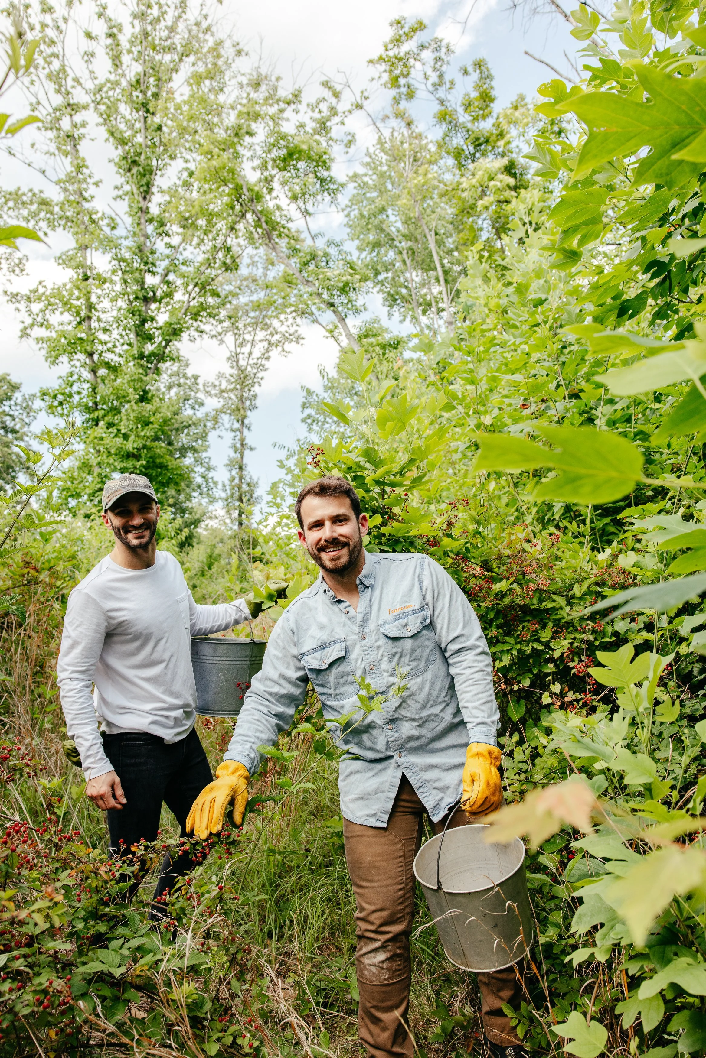 Blackberry Foraging at Benwood Gardens!