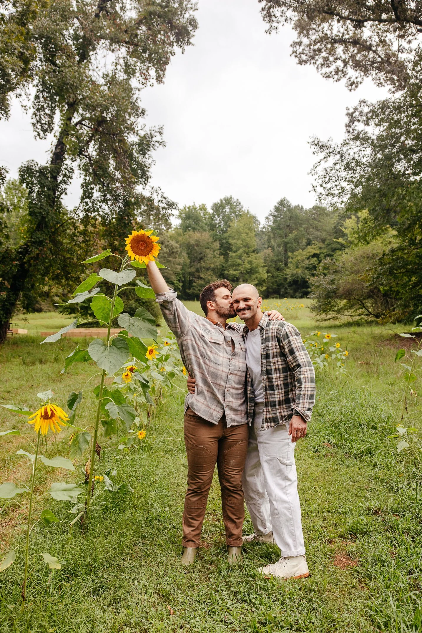 Our sunflower meadow before, during, and today!