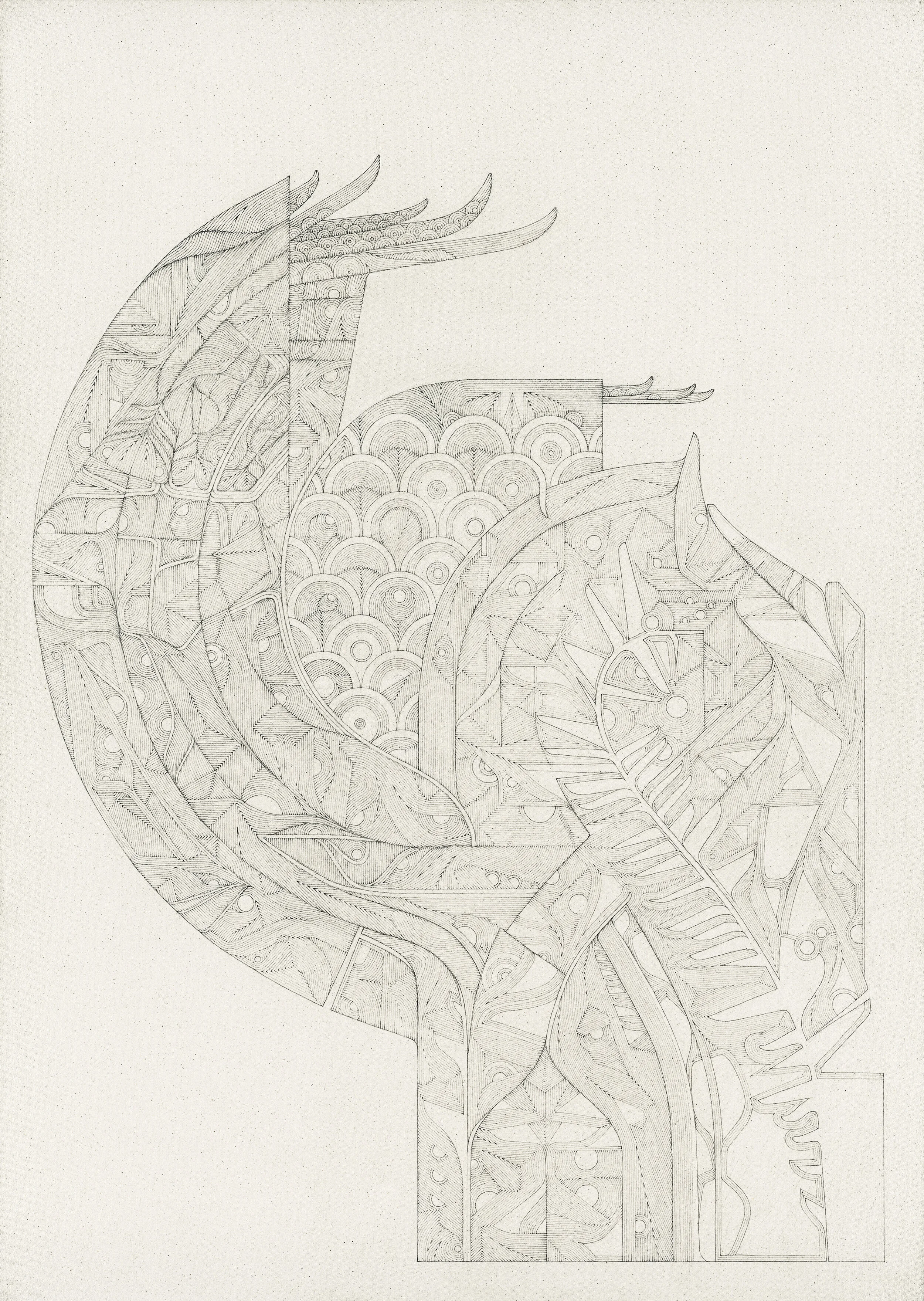   Blueprint for Mycorrhizae  Graphite on Canvas 67" x 48" 2018  