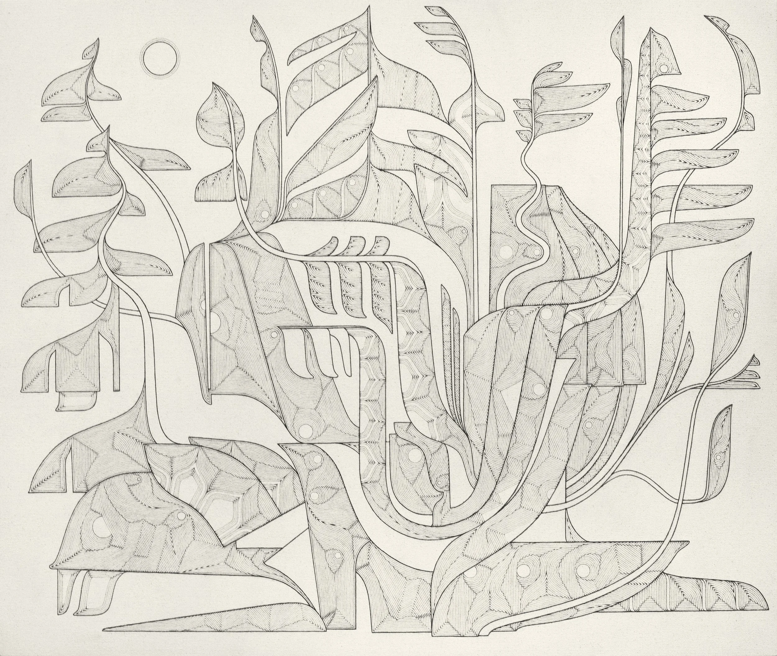   Blueprint for Mycorrhizae 3   Graphite on Canvas  40” x 48”  2022 