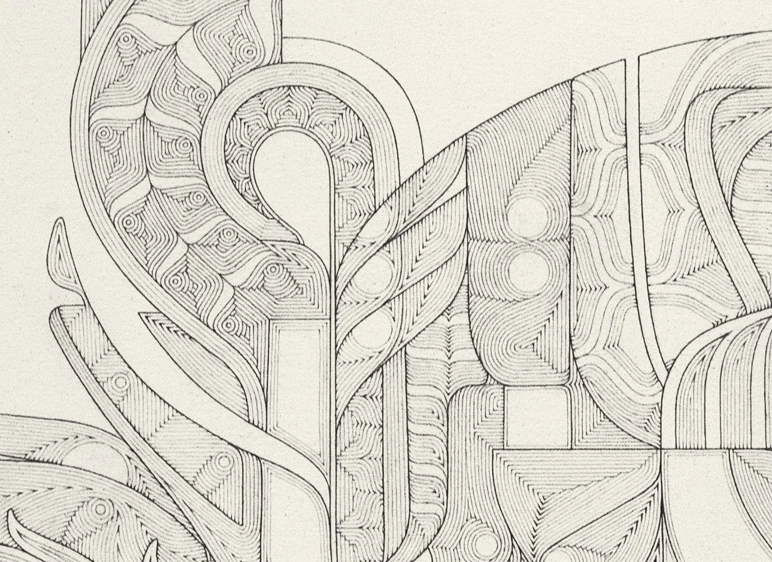  Blueprint for Mycorrhizae 2  (detail)  