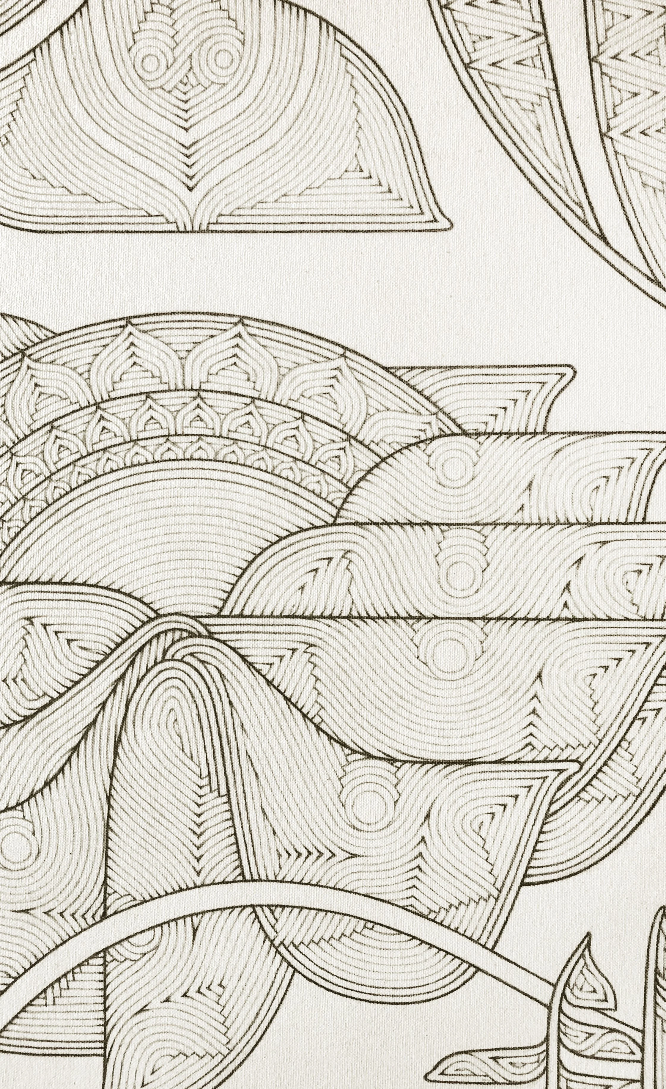  Blueprint for Mycorrhizae 4  (detail)  