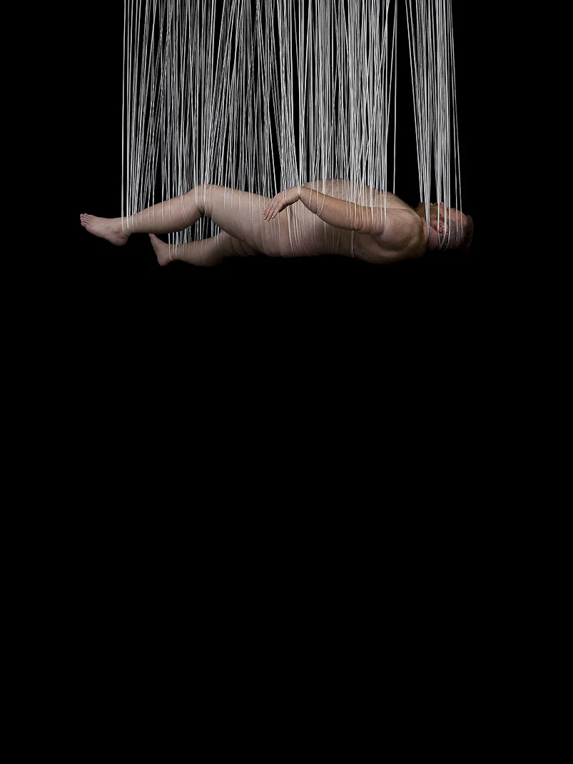 Bound VIII - Dave , 2007