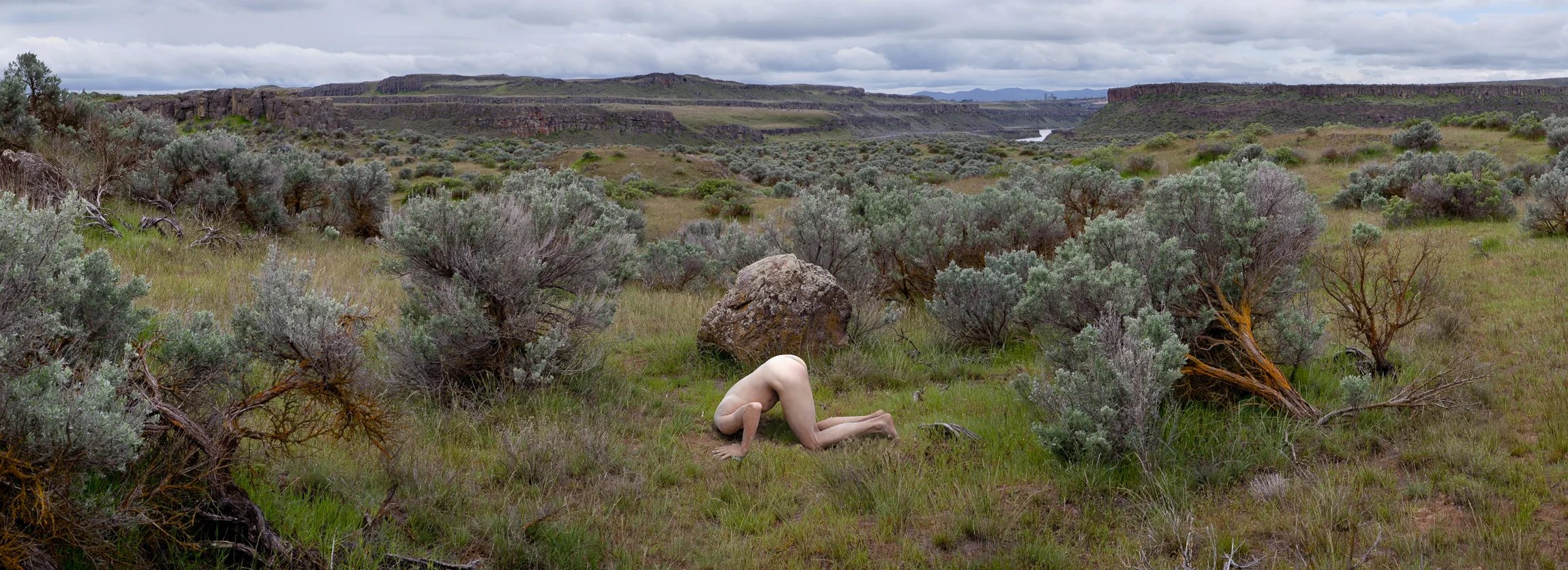 Searching for Clues , 2006
